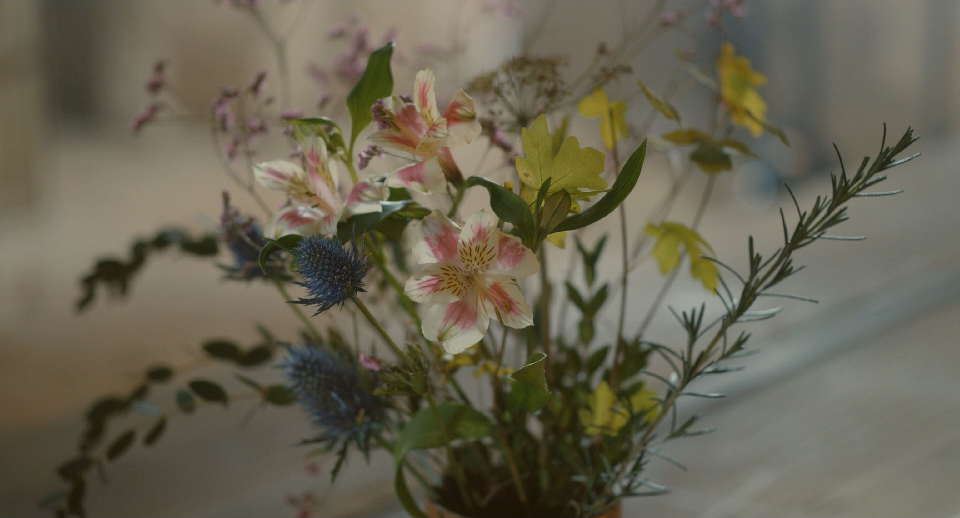 image-067667ca2c8b2bafa4490ce128132915ceabaae8-1920x1036-jpg