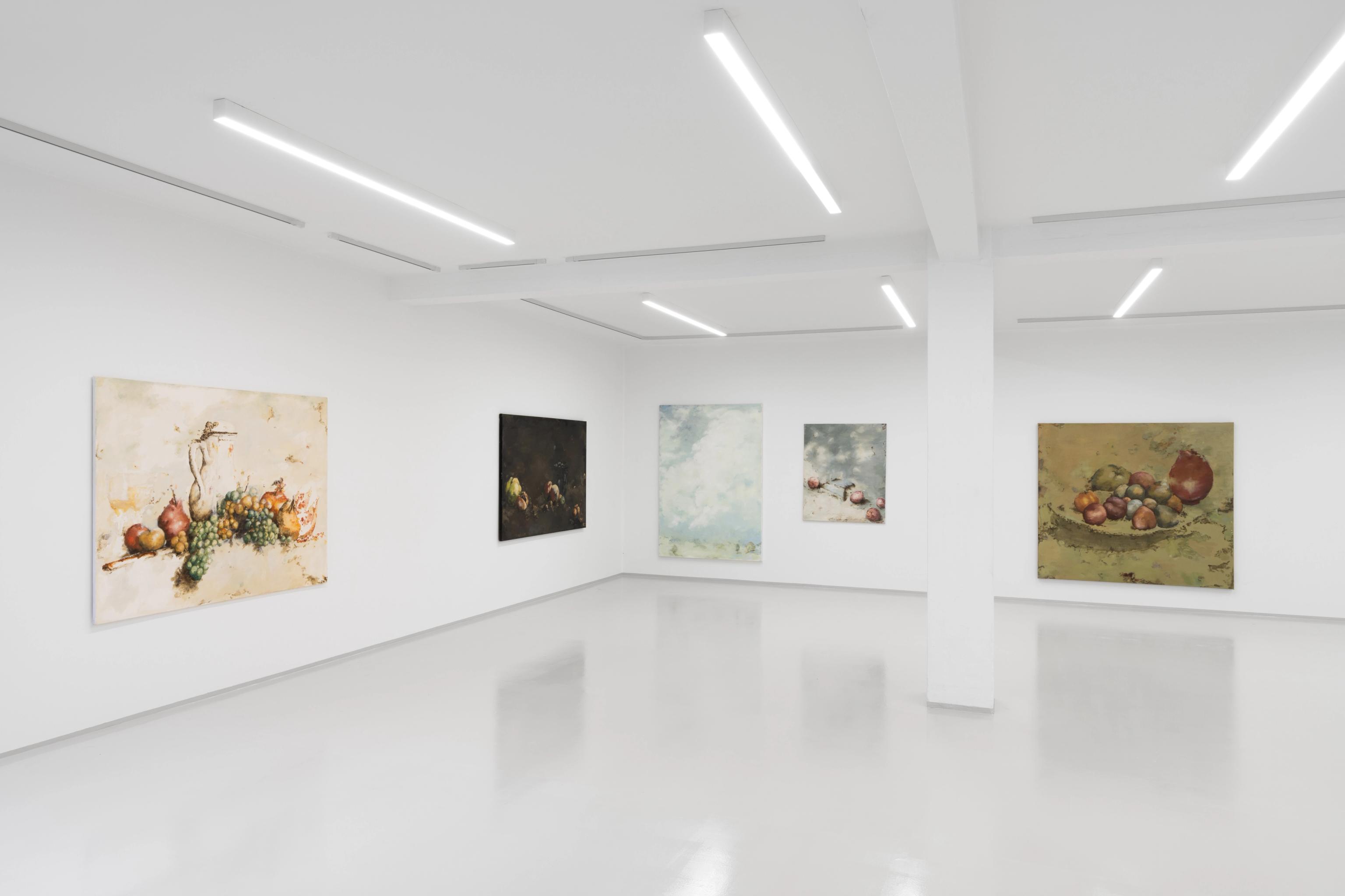 image-07e678c763f4d74d9bebacea64873d675e5a5f7e-9504x6336-jpg