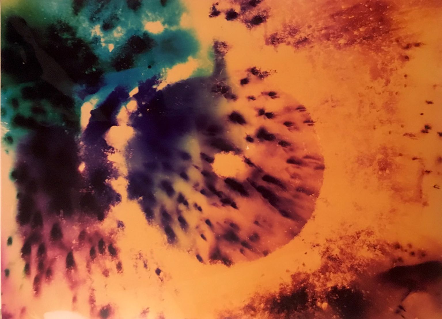 image-0a60b871e1efcff7f358c5c40ca069873a7f260f-1000x723-jpg