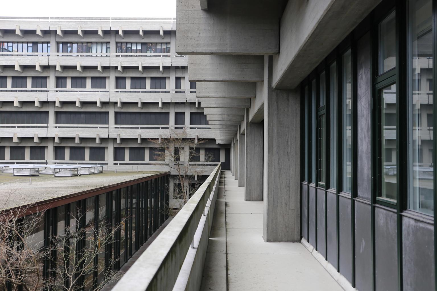 image-0d185c7df353b2fbece33a667e0b8d0275a210dc-3648x2432-jpg