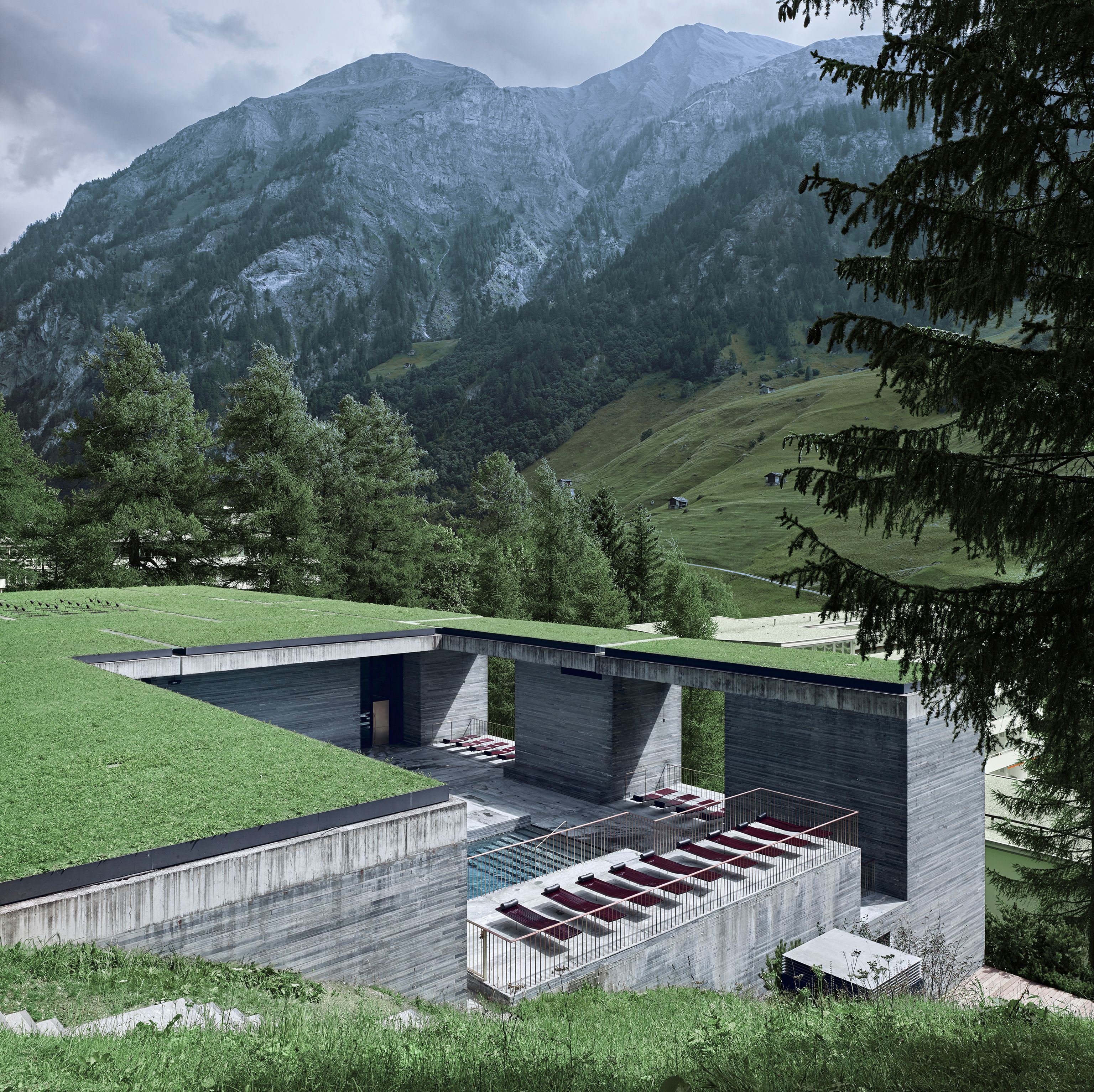 image-0e66f065240665dcb9baf8fbe4c5f5bd05599808-3000x3800-jpg