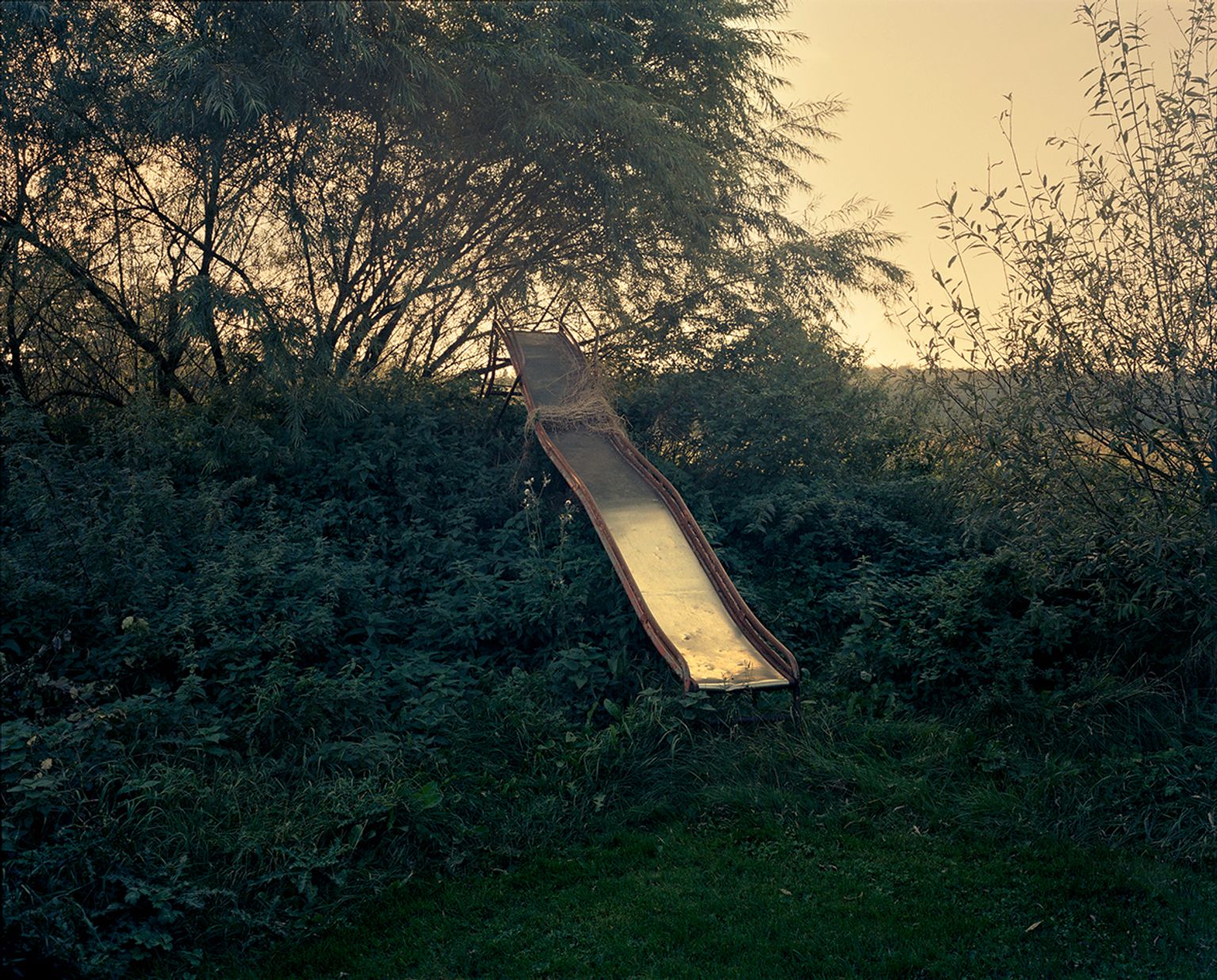 image-10a6492baf16dad39d999cab4ce1be4913a943f7-1181x951-jpg