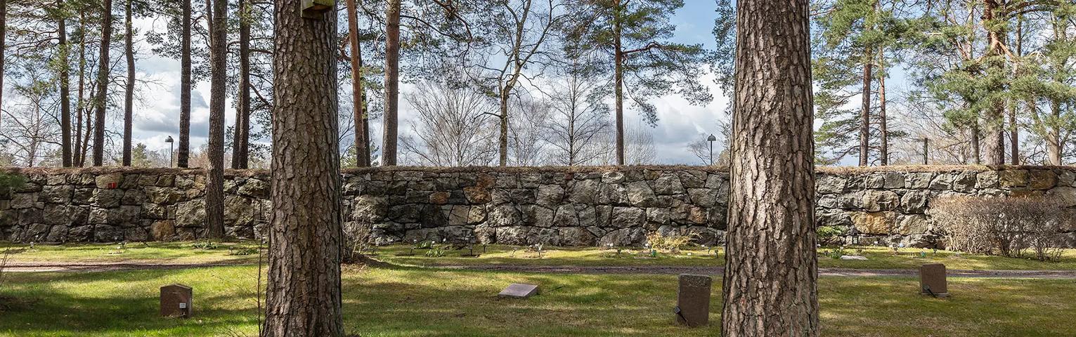 image-1221ef09c03939797dc90a8d608e6f43f7feee71-1920x600-webp