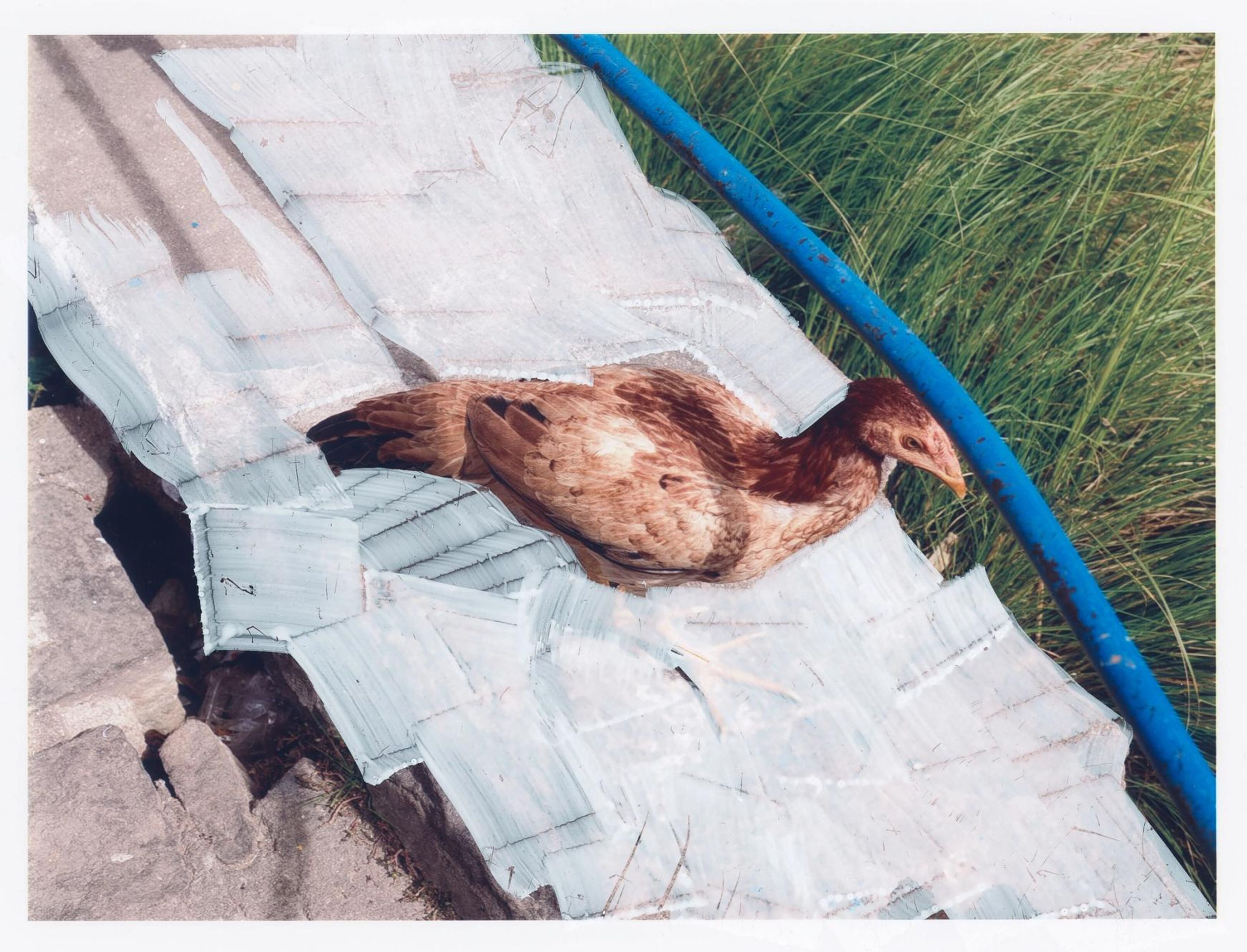 image-13b316c1a7388f1c3858dada54491a14b9987649-1744x1332-jpg