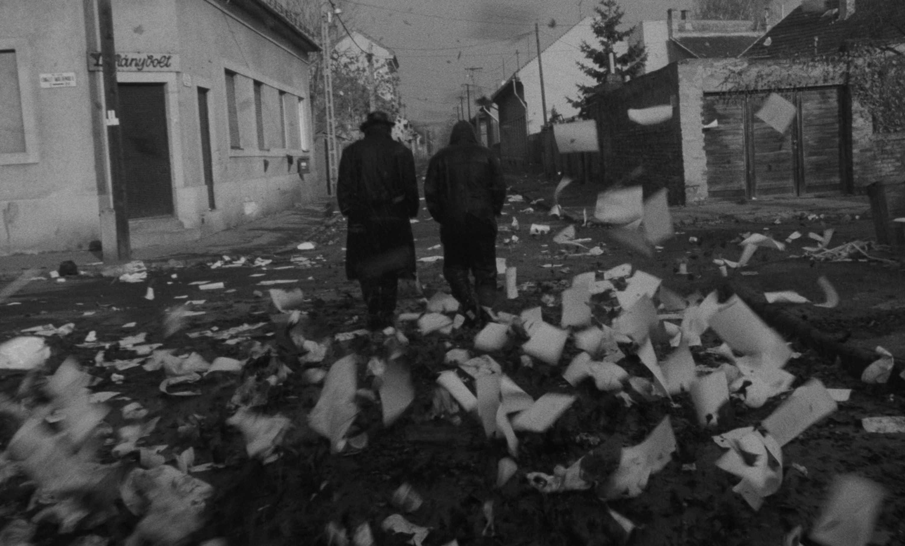 image-16963523ca20923af370c65604399db51dd9ebcb-1791x1080-jpg