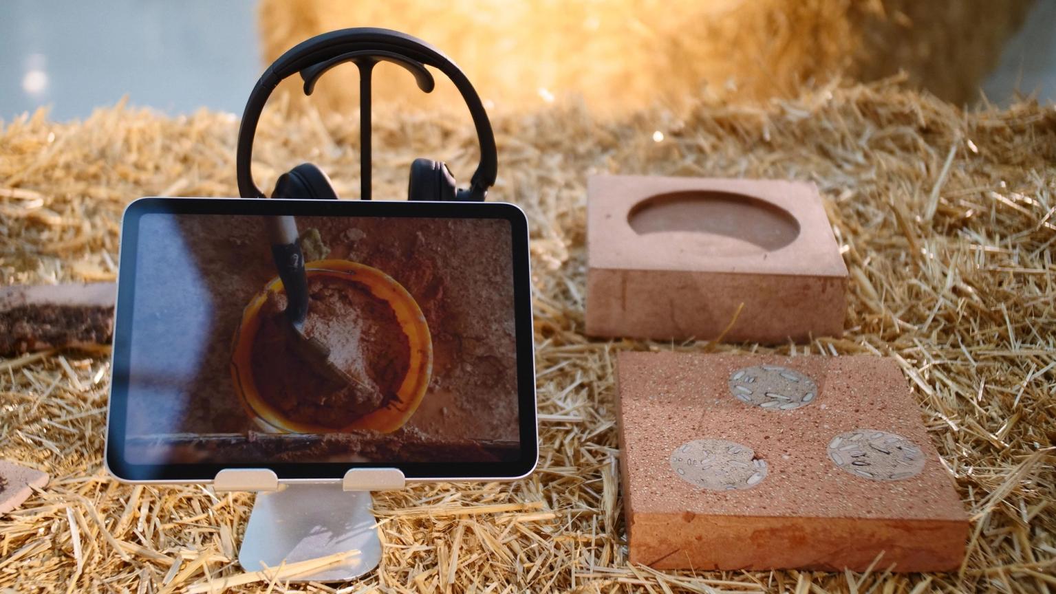 image-181aae971818e594cf951ea96b88d80d8b0c2eda-3840x2162-jpg