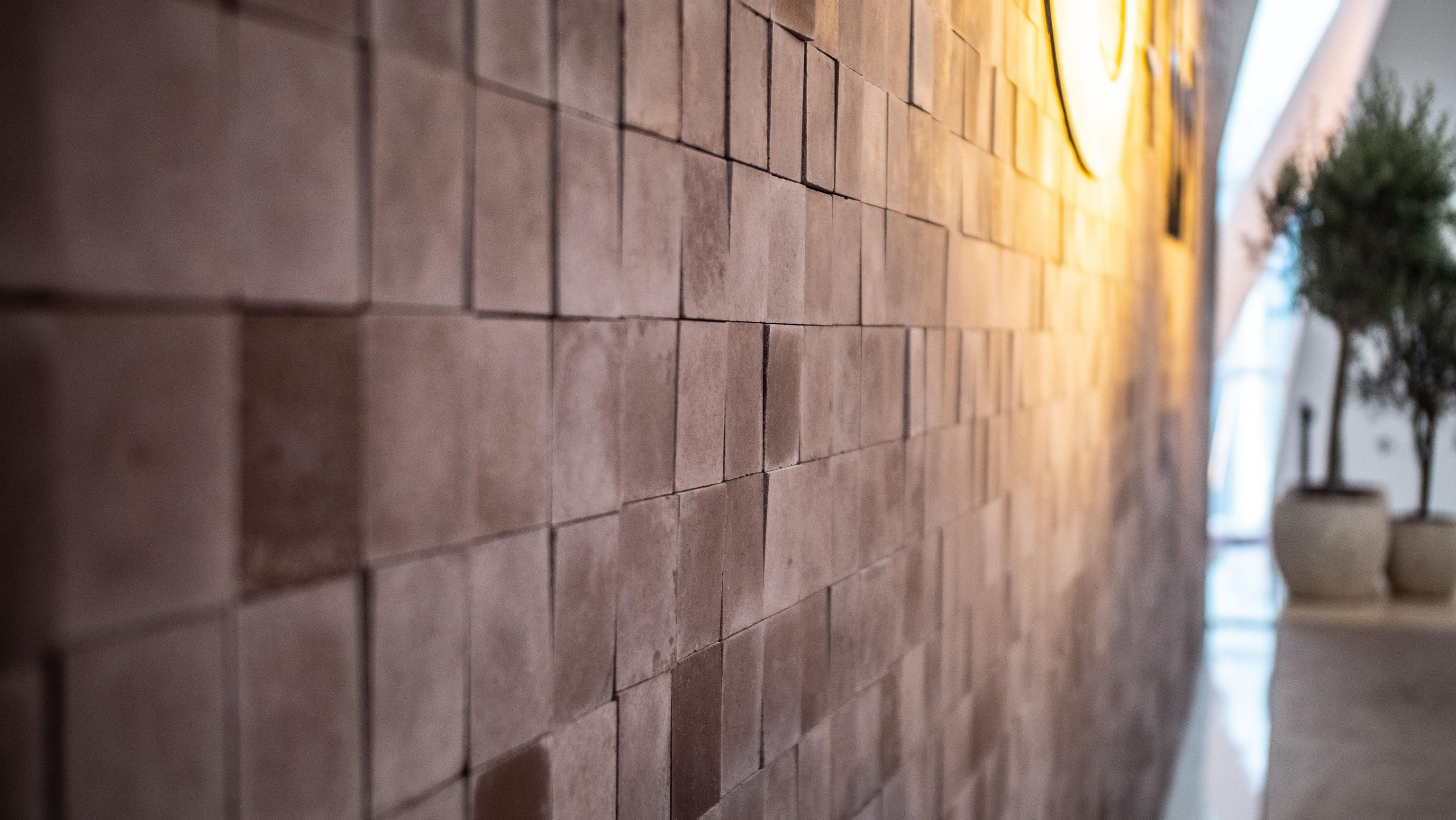 image-18db1a076e4282509f47ec26b23a5b6f4e75f649-3840x2162-jpg