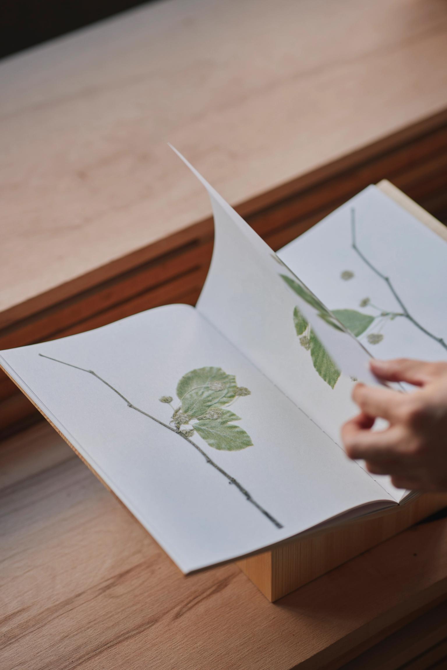 image-1b404d0bb6ad1b8527a9d203692f009ccc0c78ed-5464x8192-jpg