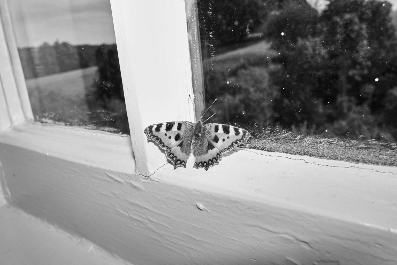 image-1b5b54736075ed4366353e5b37aa3a1732790ec1-2048x1367-jpg