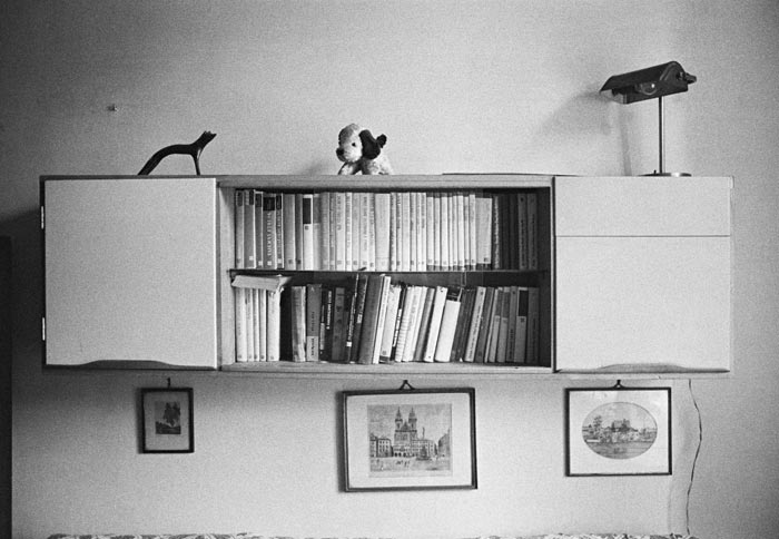 image-1b5f612f5361ecc7c8d26eb5a79a819aa1ec4975-700x484-jpg