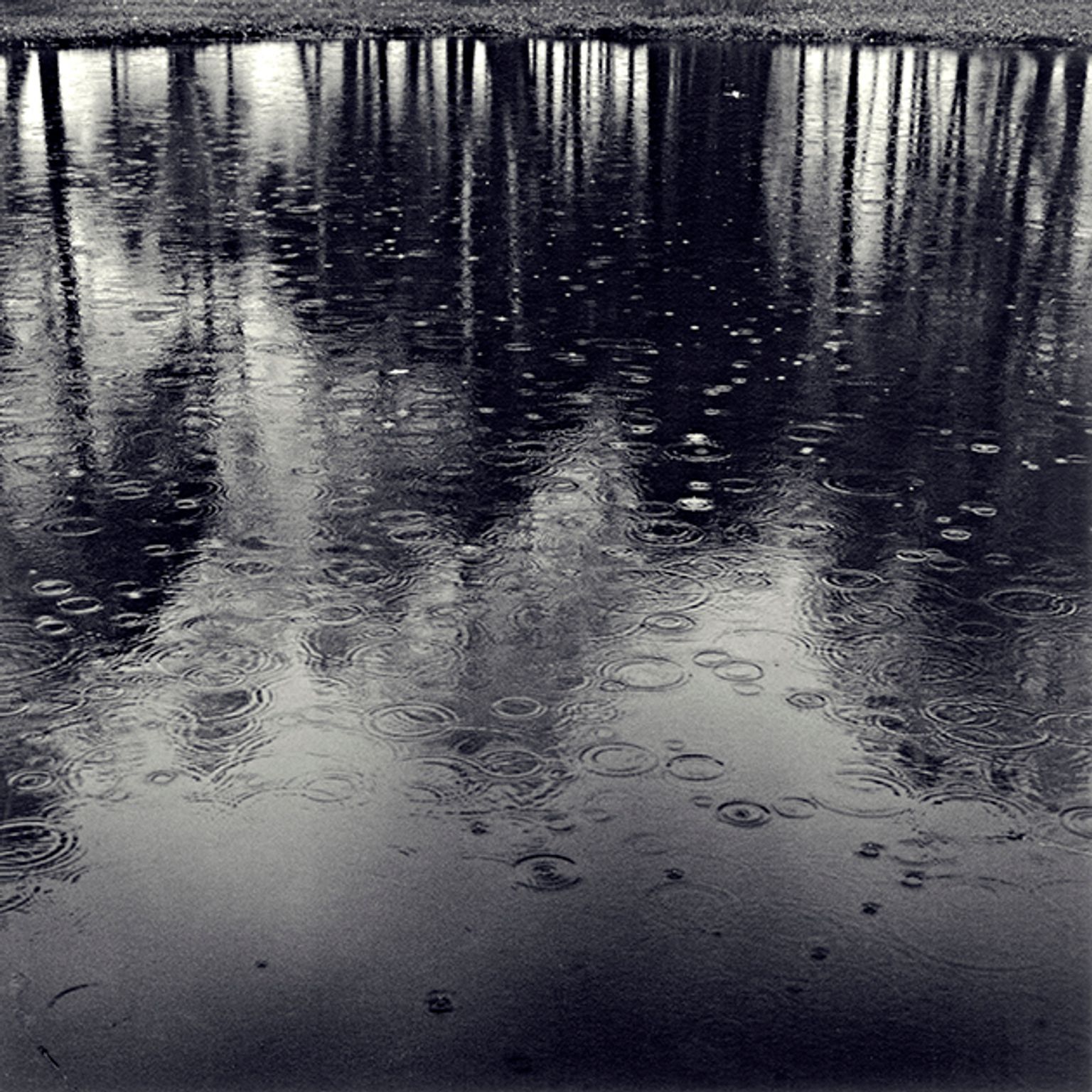 image-1d199a0f25db53e89d3ab3eaea8c246e23ce82b8-630x630-jpg