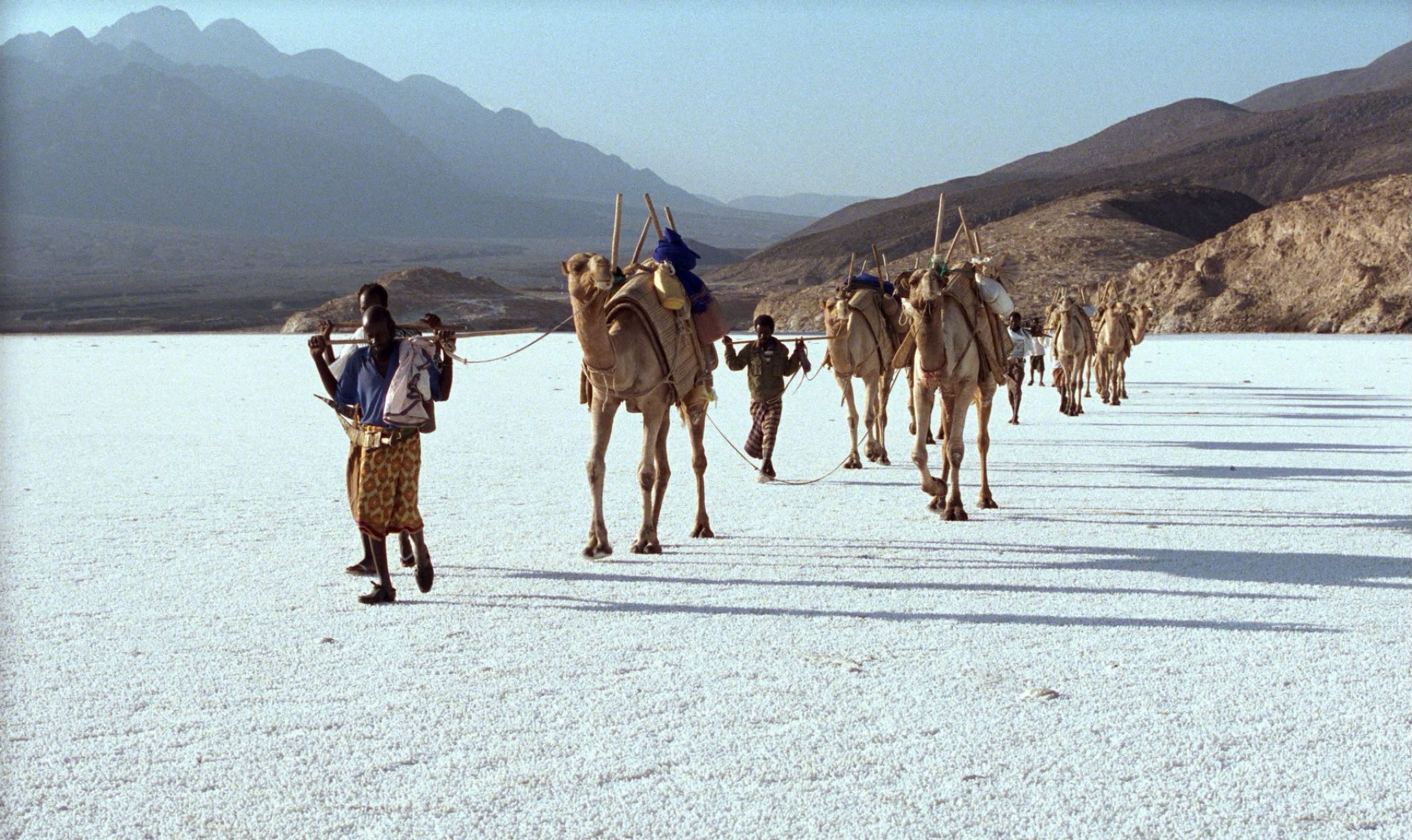 image-1d41220eb59a9c2e894b46329d0f364bc9039158-1920x1143-jpg