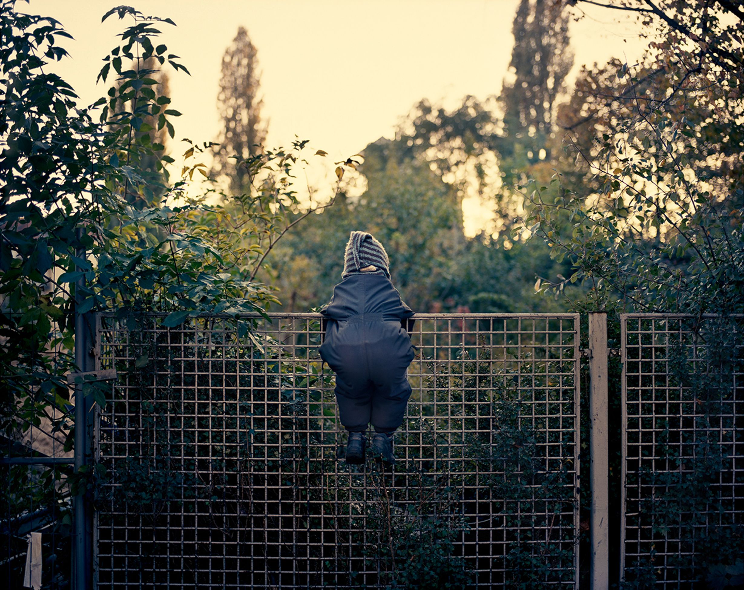 image-1da9c1b3e21af3ecf4a5eabc741bf0607833183e-1181x937-jpg