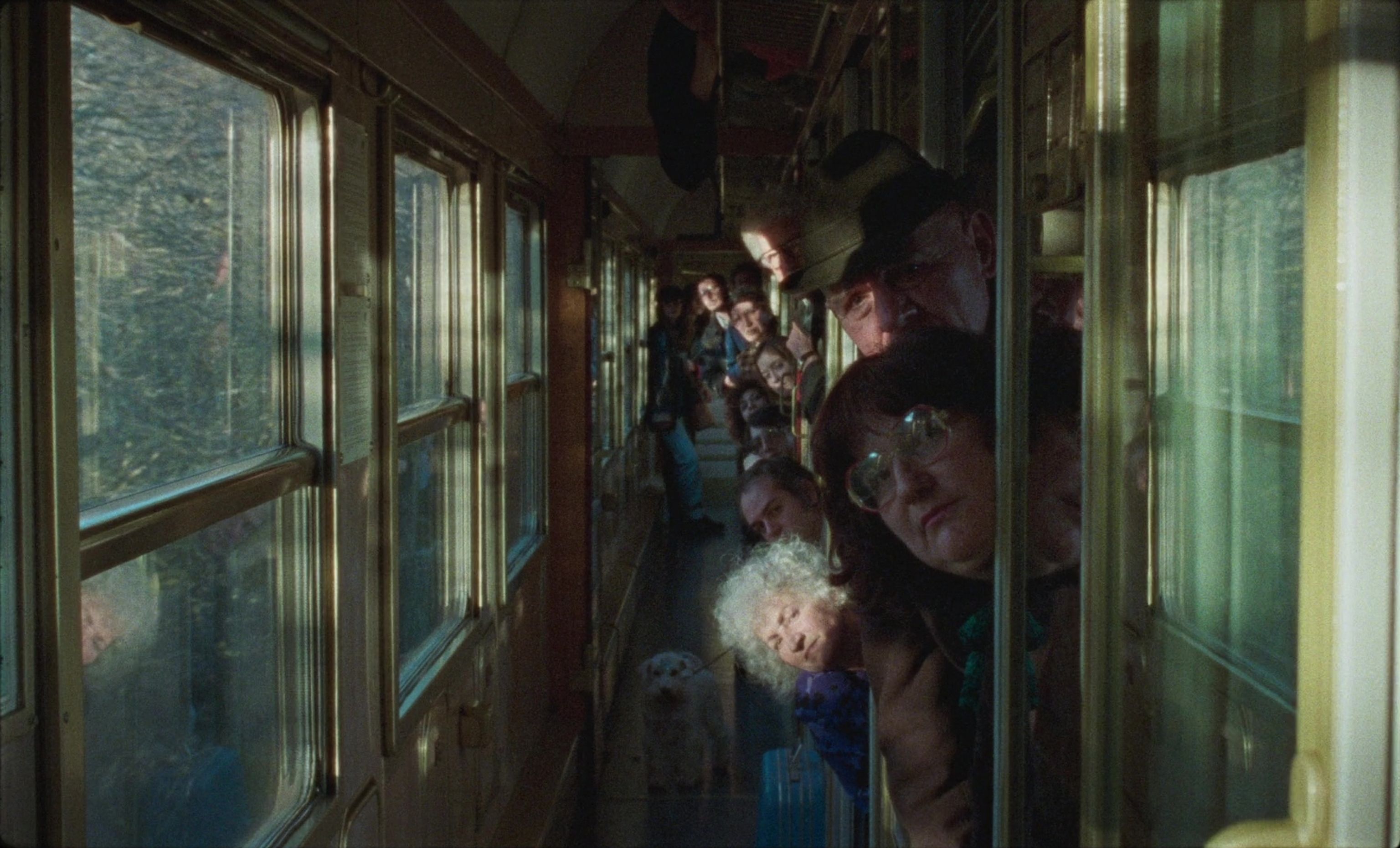 image-1ee2bd5417f809be316cad6596c79e17c5e75d35-1756x1064-jpg