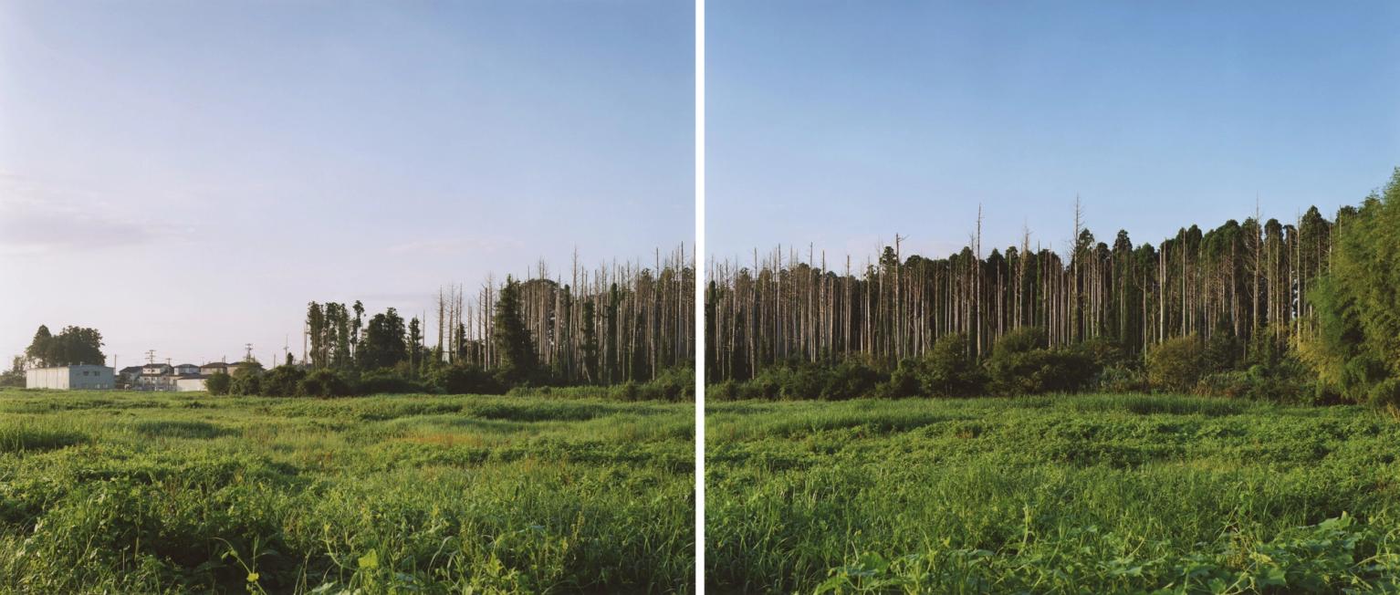 image-25ddecf3489ee88641af438007d607abf050ba63-6750x2869-jpg