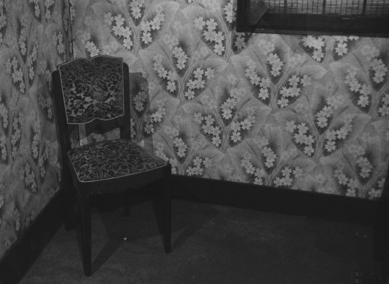 image-2631bbd02e5e7adbc09eb0573228e17c4c0b7826-1480x1080-jpg