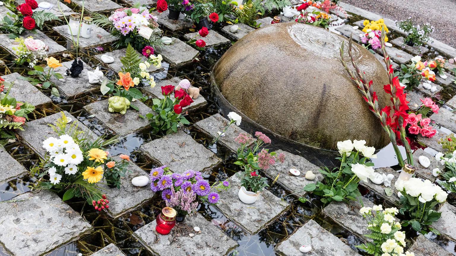 image-2642c22e6d9bcf9be1249b81806c94f134e02b4f-1920x1080-webp