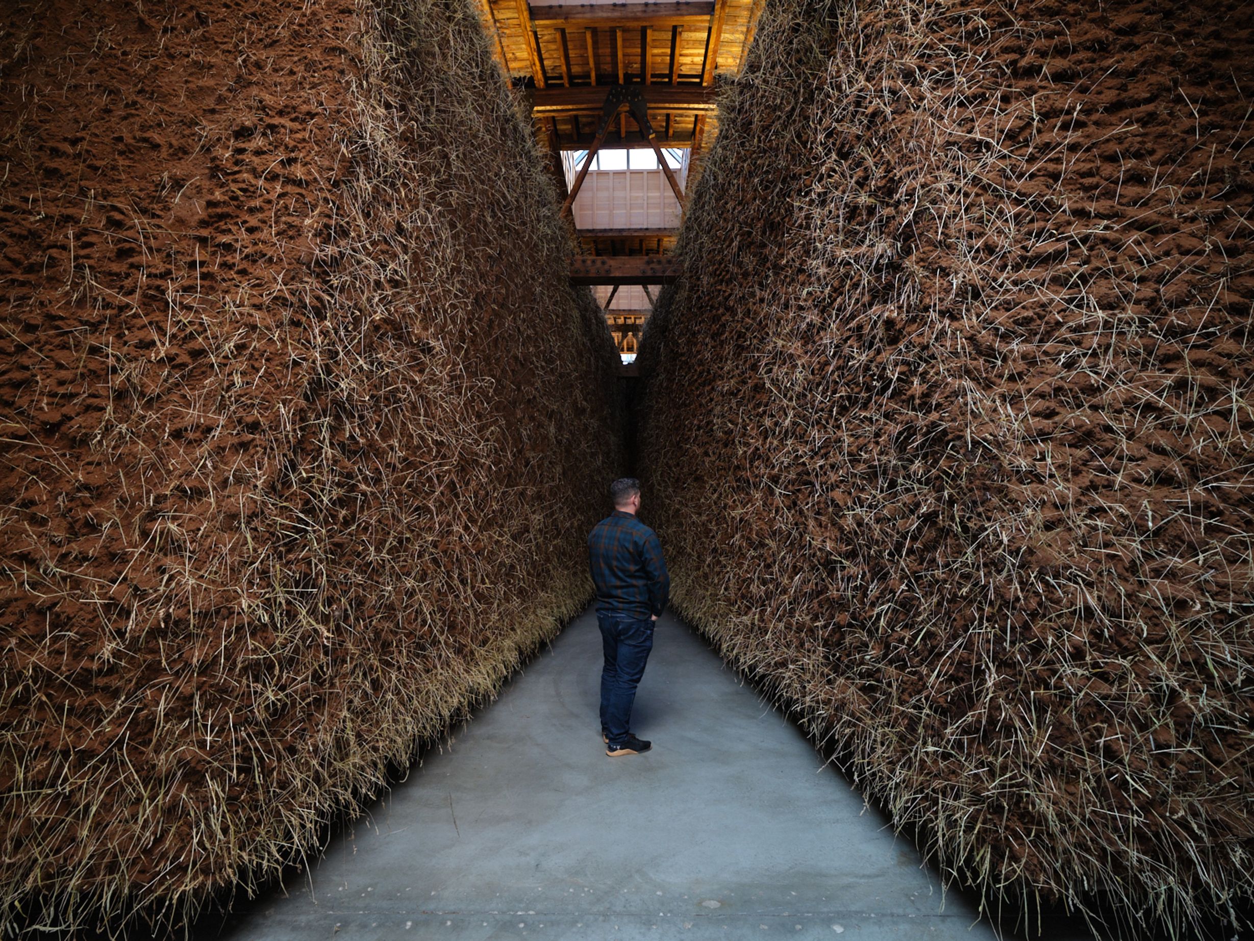 image-29b5f0fa142724703ae6482cb921f737d044648e-1500x1125-jpg