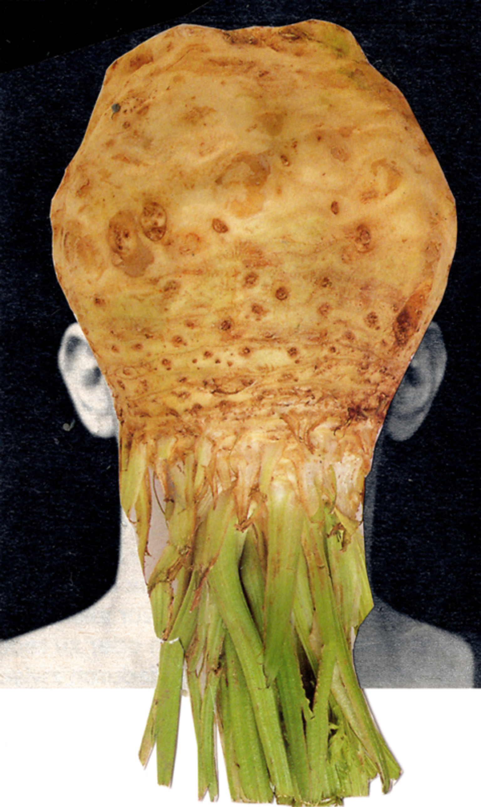 image-2a17c6a4c69e24d79360f5cfbf9d816ac1fa1adf-477x800-png