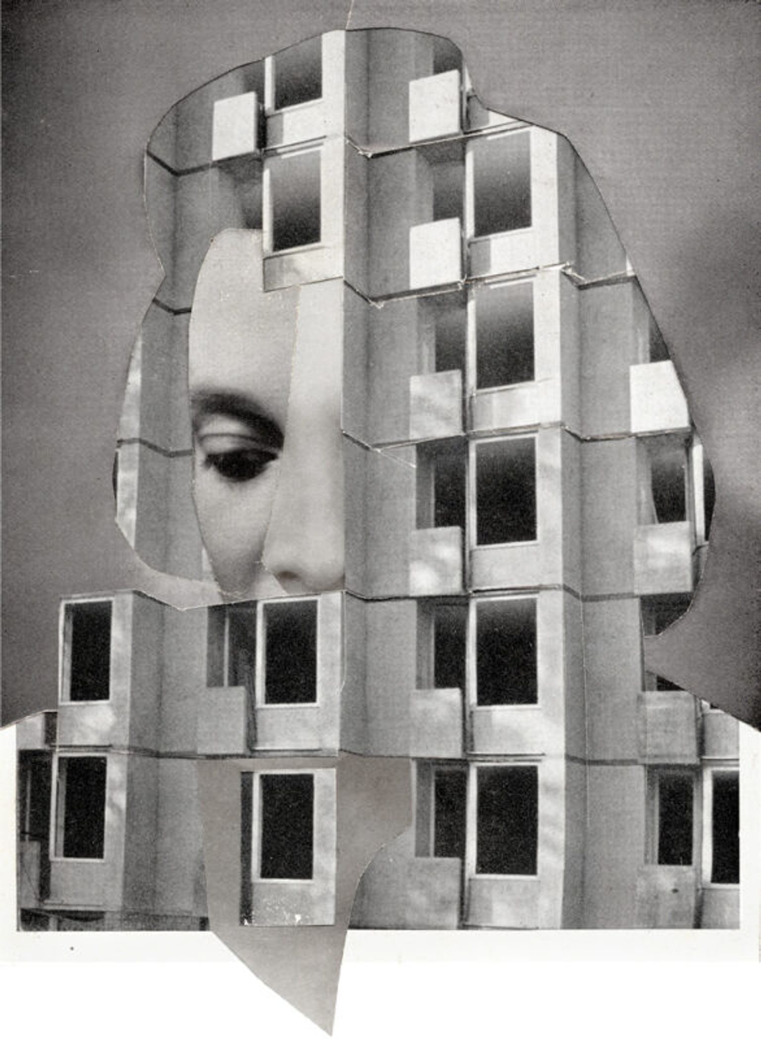 image-2f2f0a8e6c6b228938cdc3a3147907cd3a09ee0b-586x800-jpg