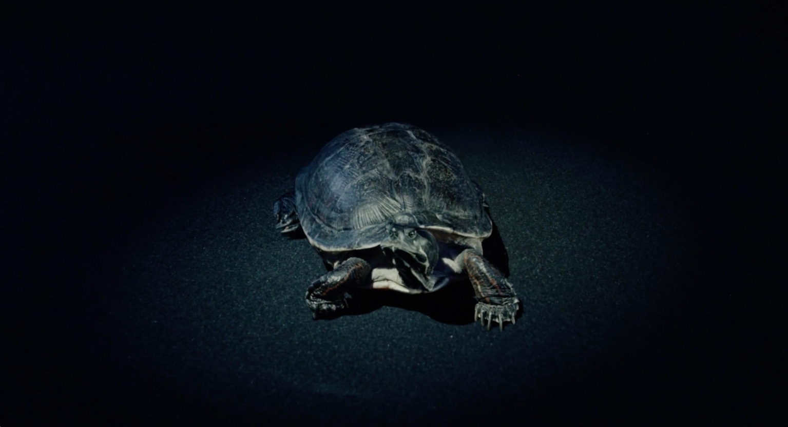 image-3012d4f6fd77c7d69283be9d9cb9c10823d56e2c-3126x1694-png