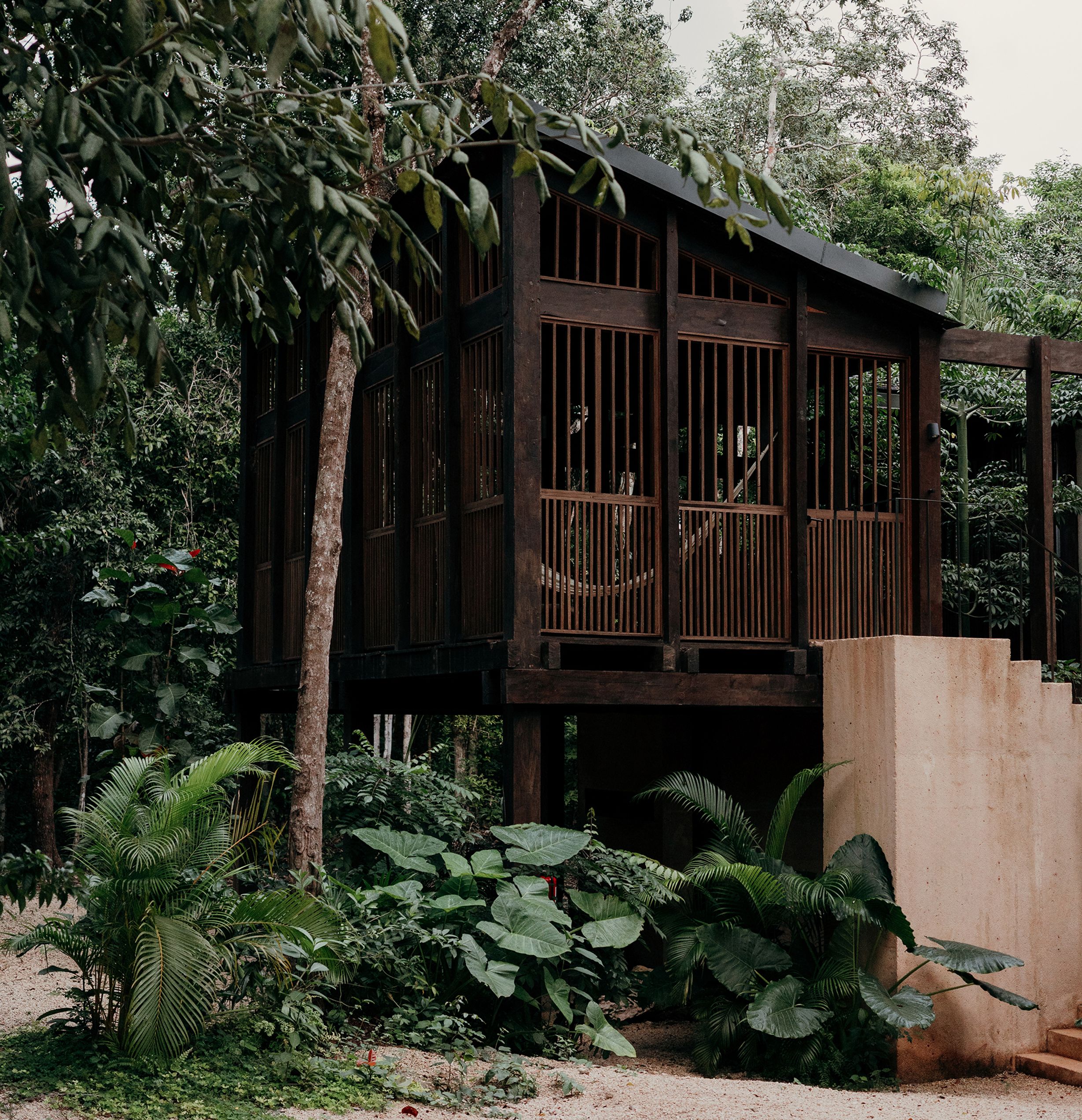 image-321ea1745336b8687bbf5680a2890fe210a26d18-2000x2071-jpg