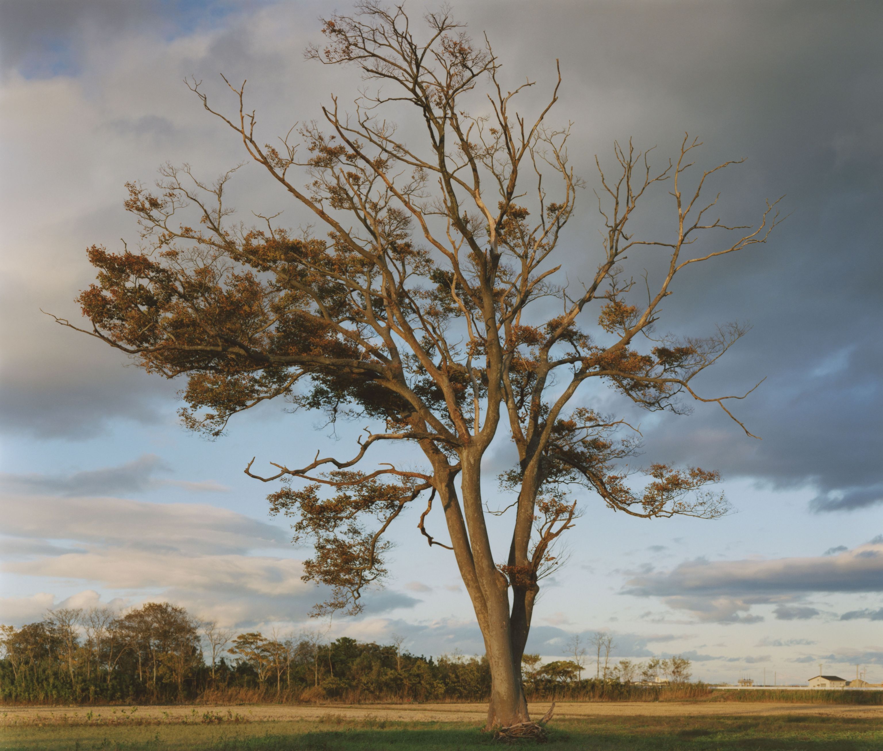 image-322be9d6d5375483188d0cdf3b1777cc6451a5de-2756x2345-jpg