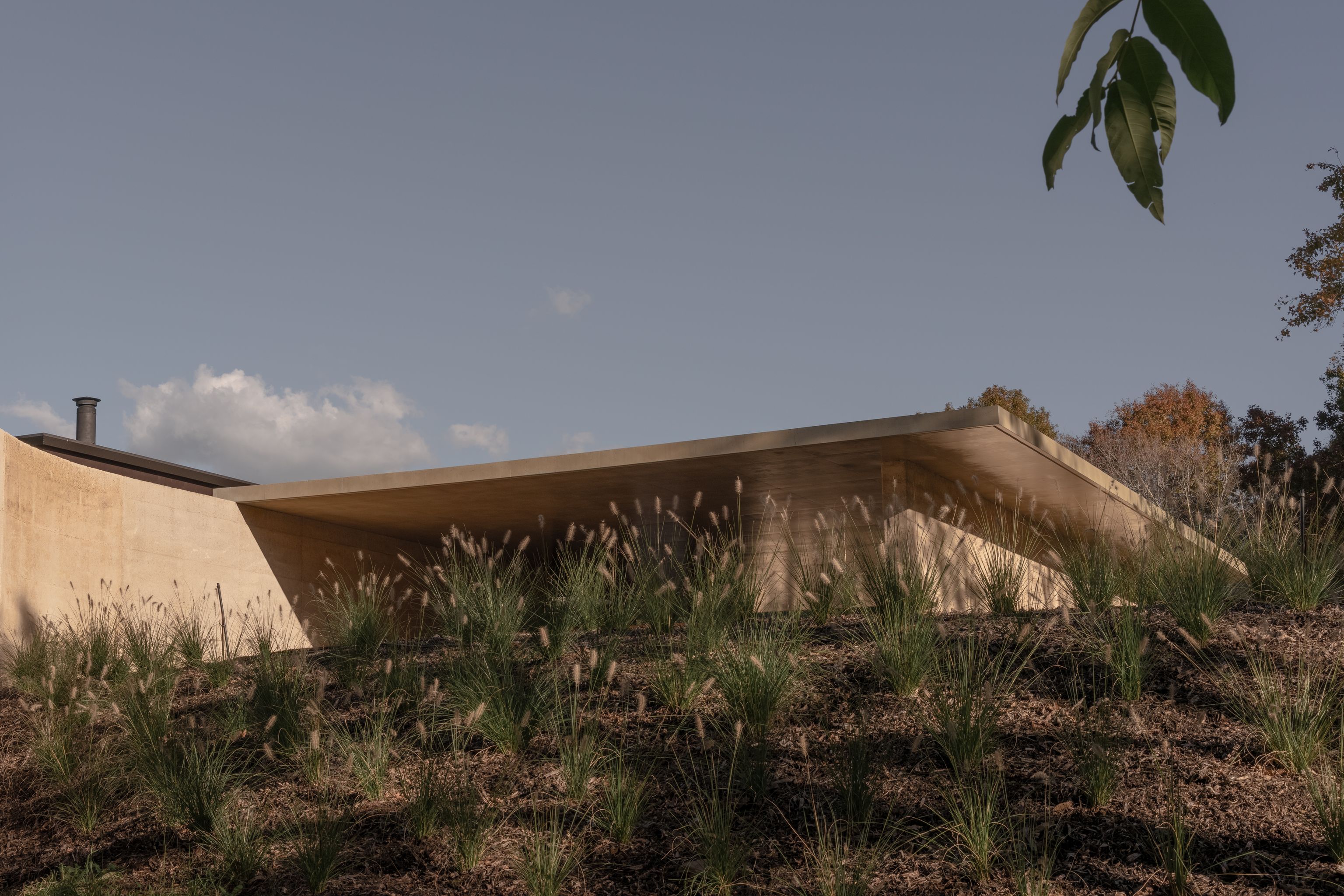 image-32afeaf88769b9eb612fef23fc394a3f5f388ecf-4000x2667-jpg