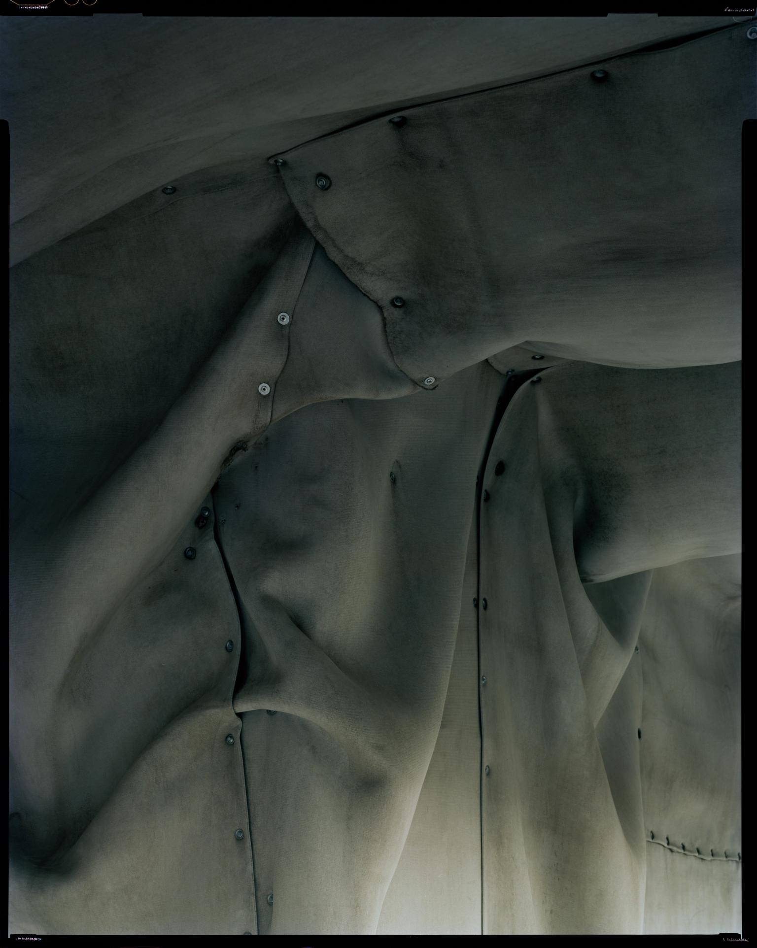 image-345029b61ee7a1d041a162f39ccf11d669233748-4755x5958-jpg