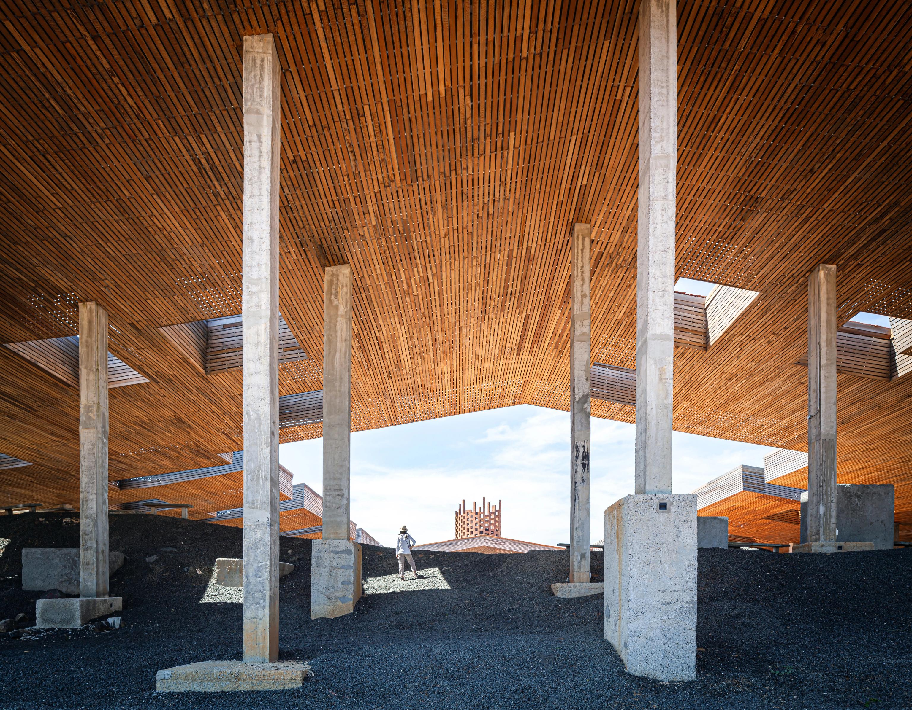 image-35b18b2516f3e19045485ae7d88776b672a373c8-5545x4436-jpg