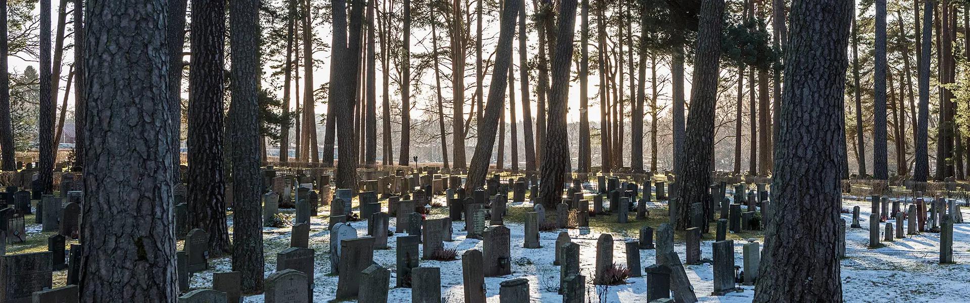 image-365a71b5392f1fbfe90e72b4ac85e9ad11ff0603-1920x600-webp