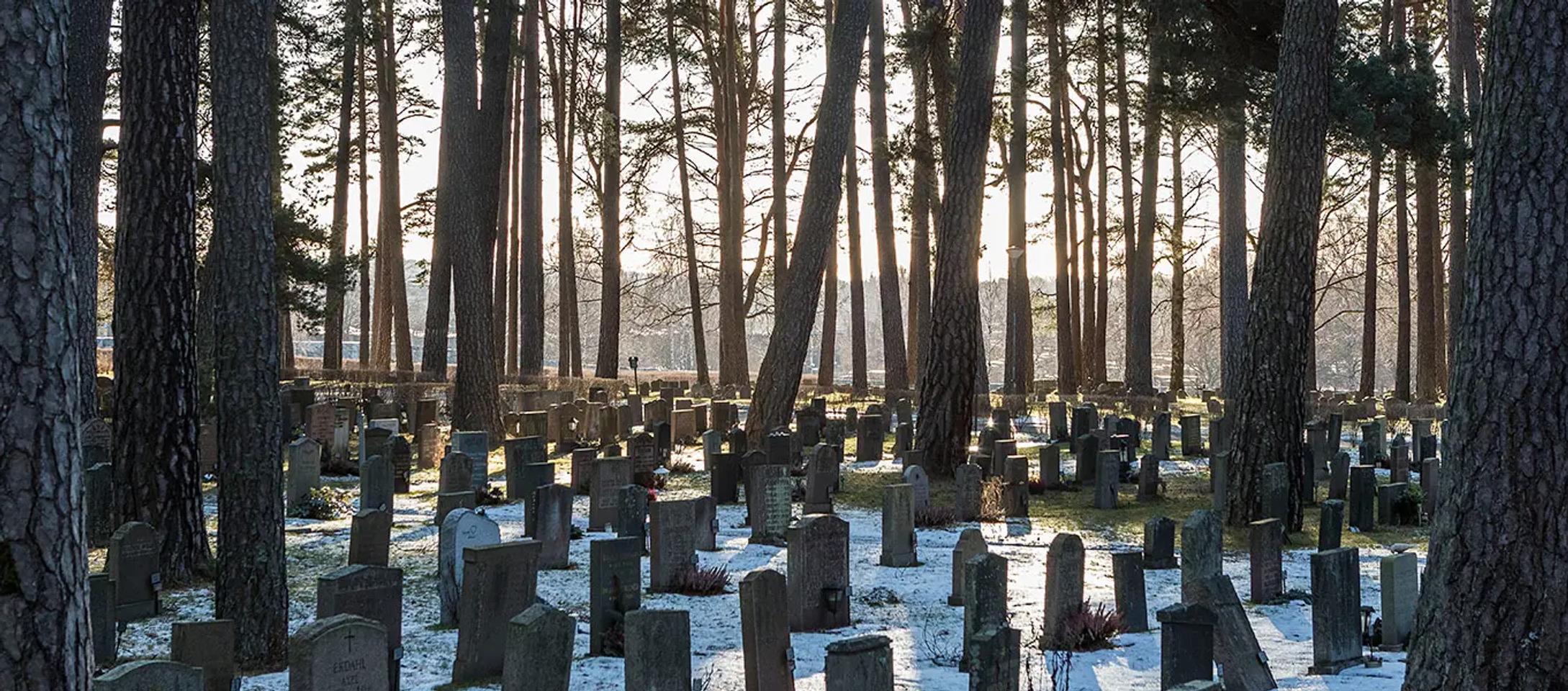 image-365a71b5392f1fbfe90e72b4ac85e9ad11ff0603-1920x600-webp