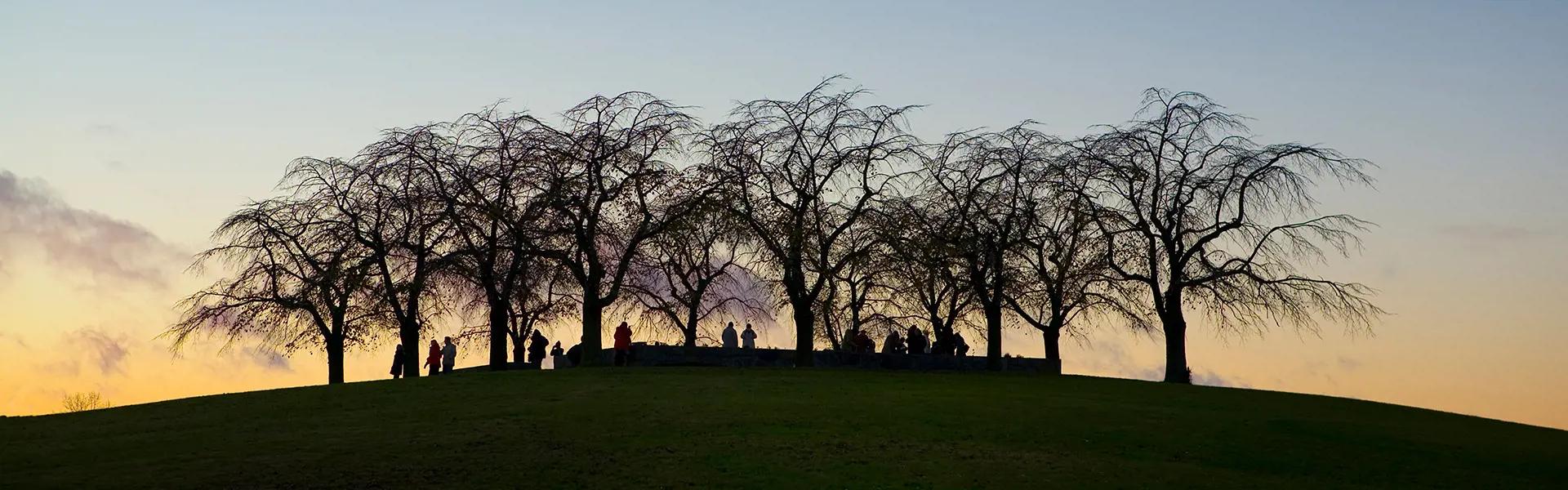 image-38468bfbcd7d3def56c58d1bedb33ac17dbf9baf-1920x600-webp