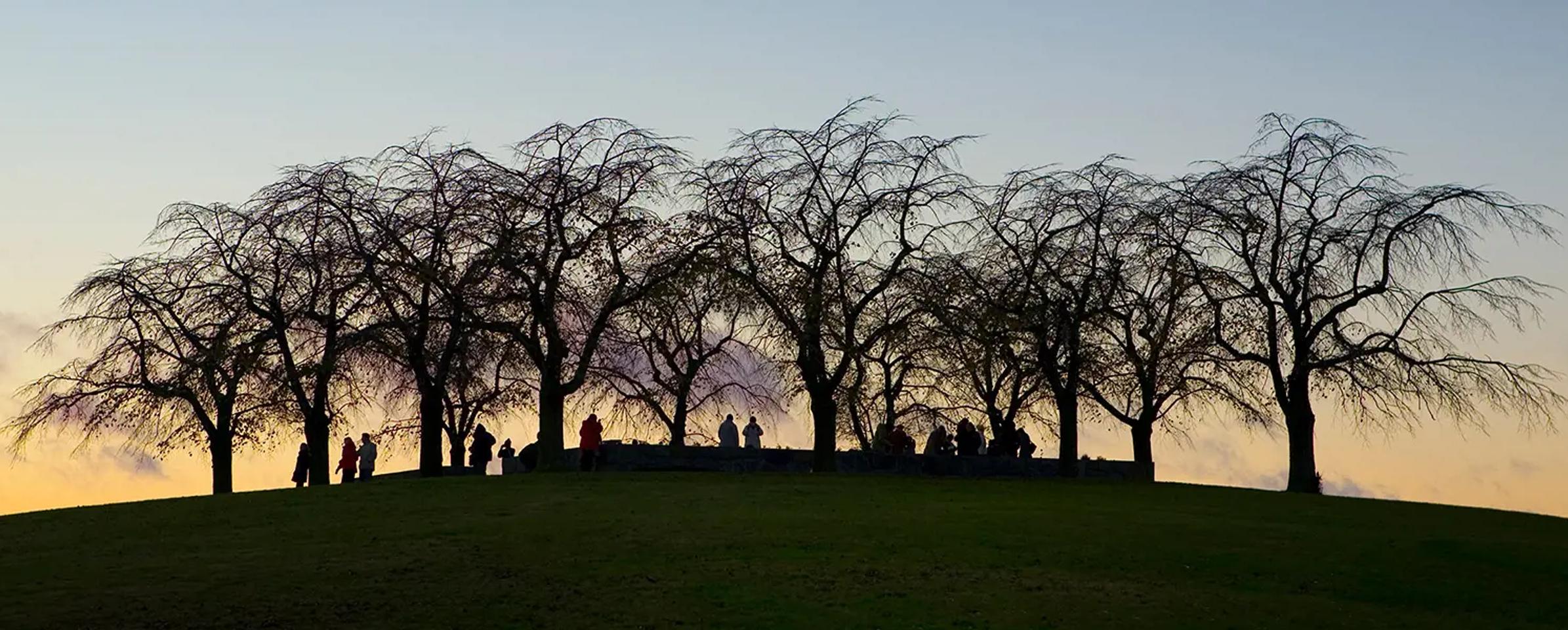 image-38468bfbcd7d3def56c58d1bedb33ac17dbf9baf-1920x600-webp