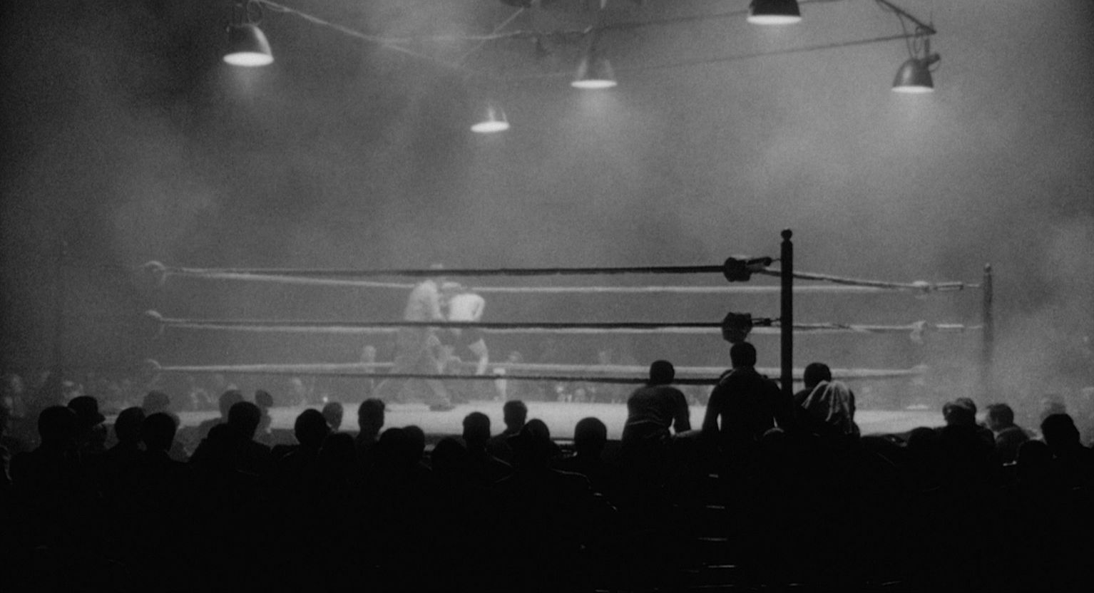 image-38cca1e5c7c6f7fe35c73f5e01ae40ab2a9e67ef-1918x1040-jpg