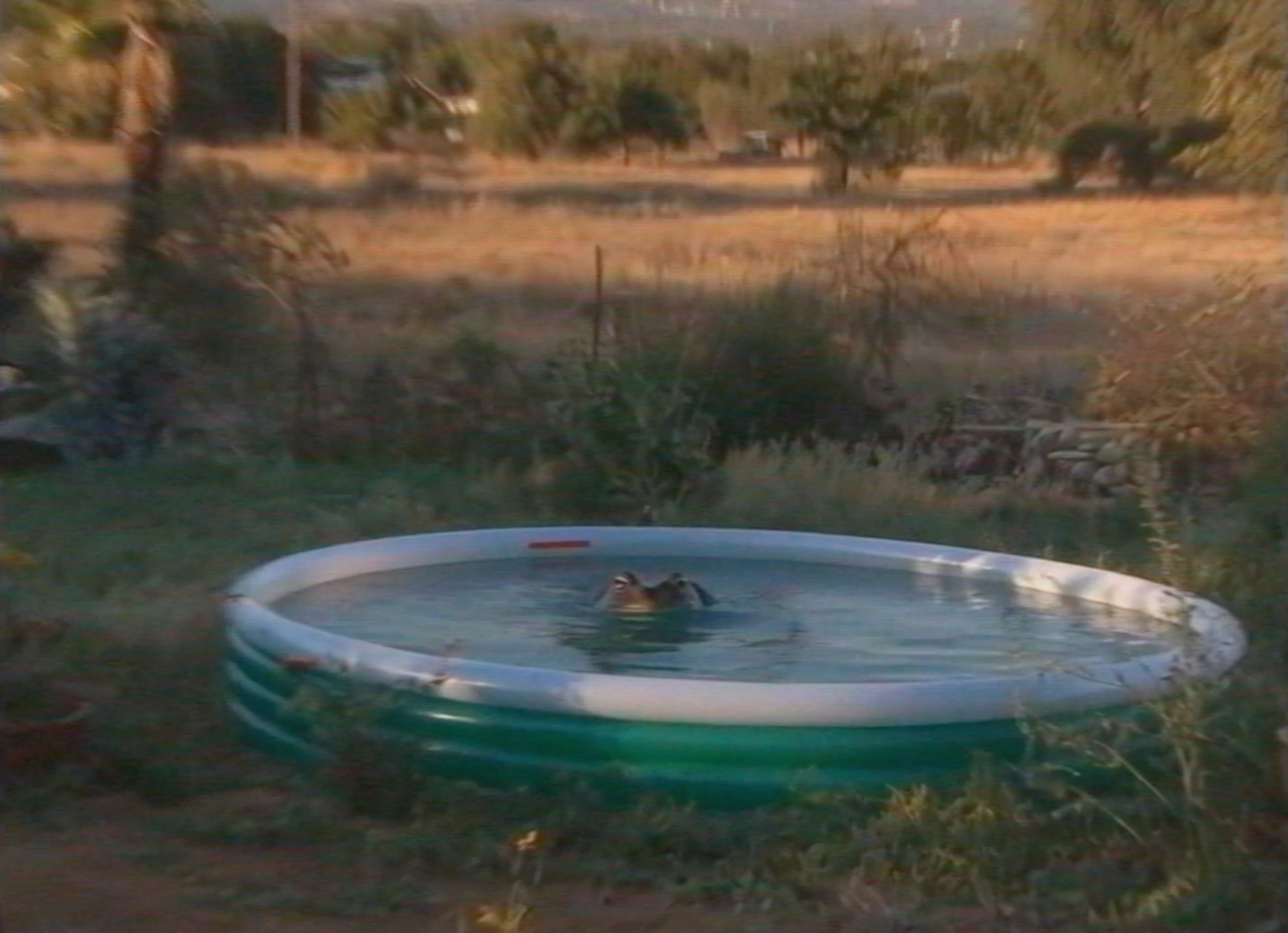 image-3c291bb5a31677a25b44c7f806cfbcc24536f586-2558x1854-png