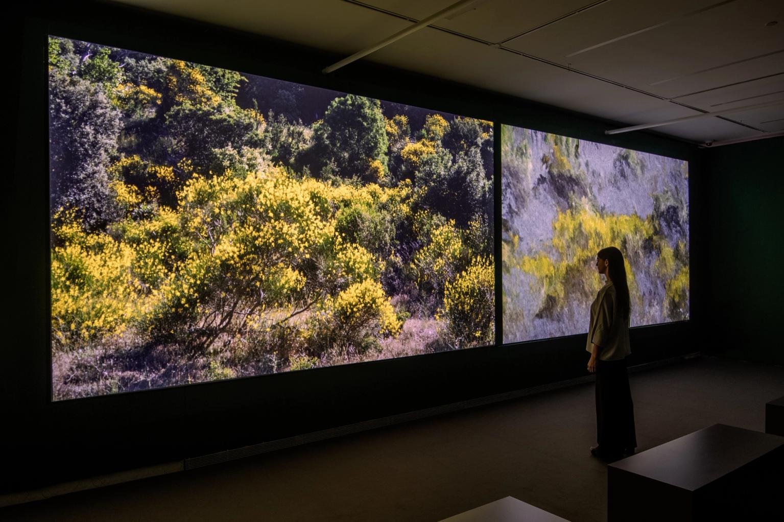 image-3c7e859744bd4bc4eceddbe2c087cde106378c53-3840x2556-jpg