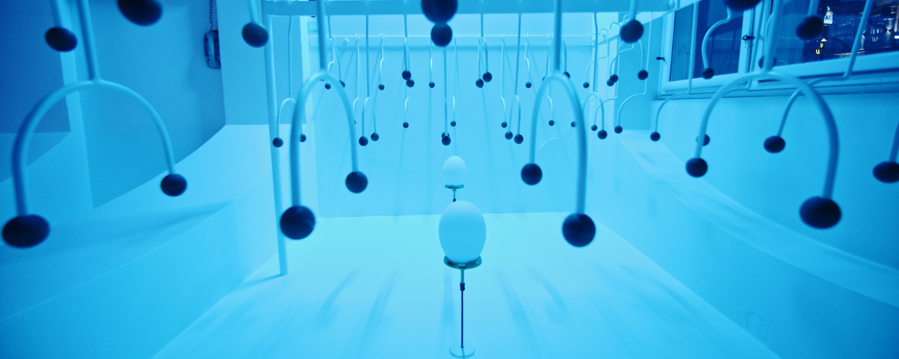 image-3ee94773e178d2ea33548d172ee9b32774f27f47-3000x1200-jpg