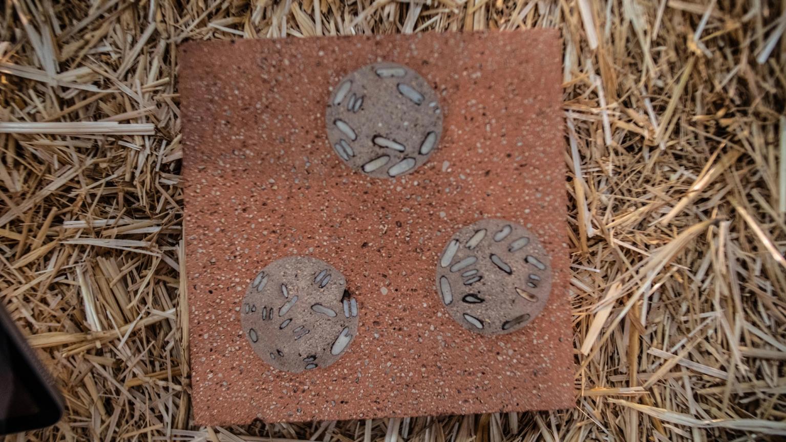 image-3f7885425bbb1e725284167dc79bbb42b2f34f80-3840x2162-jpg