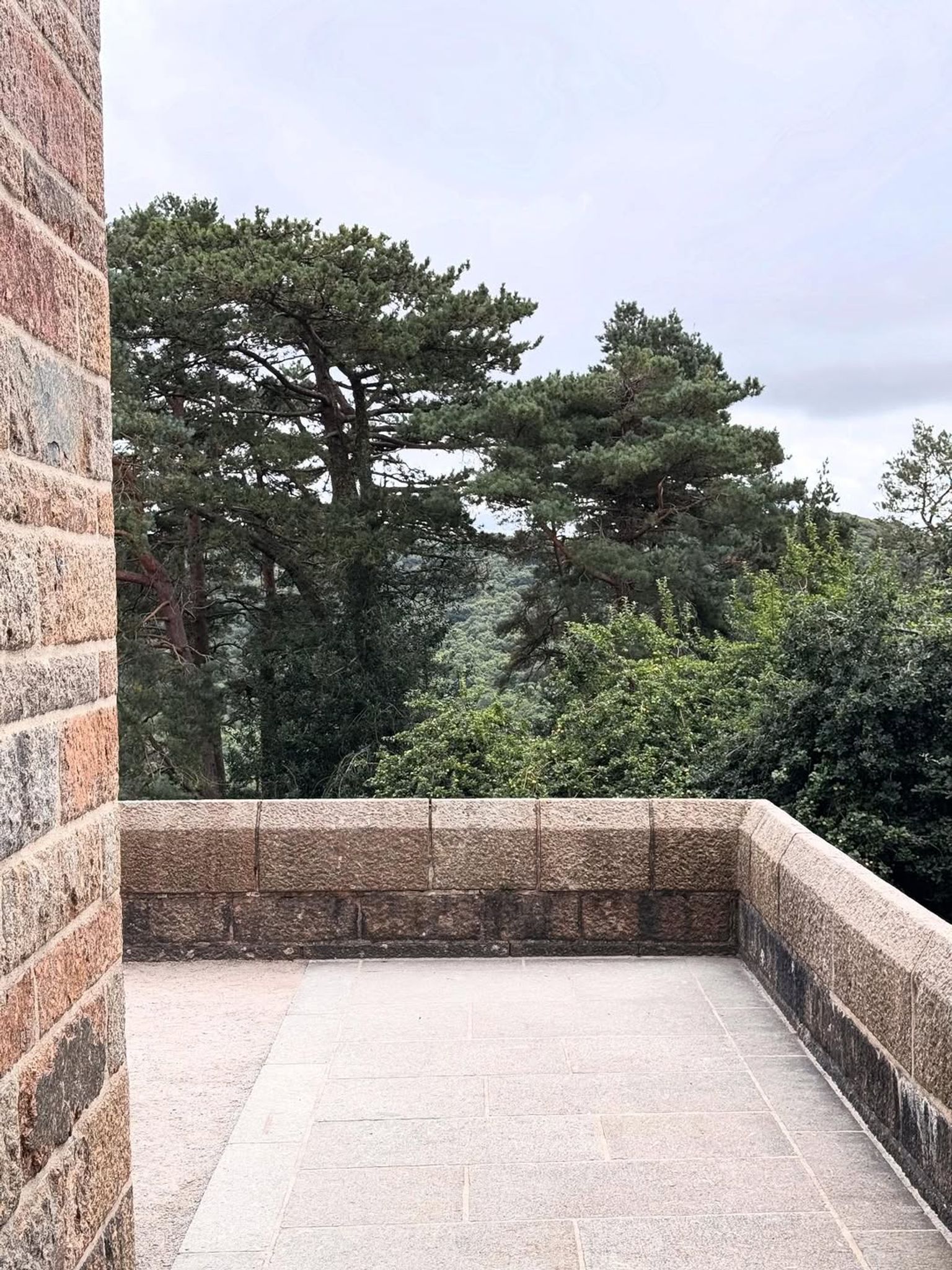 image-44b5330d6167a40227cb889975e505eaa7ff91f1-1080x1440-jpg