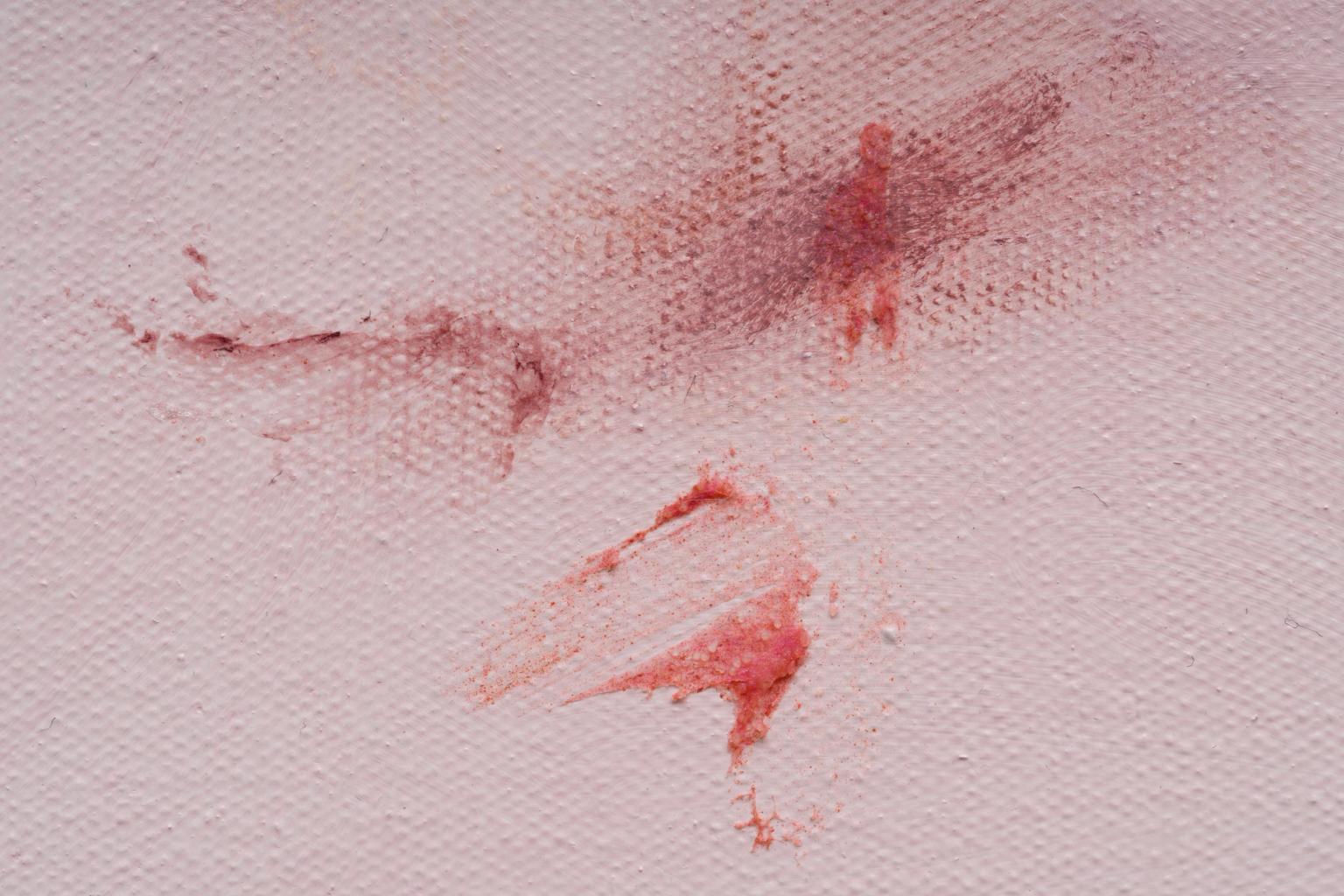 image-48112059d47054e2af731c3b819d3d172511f57e-9504x6336-jpg