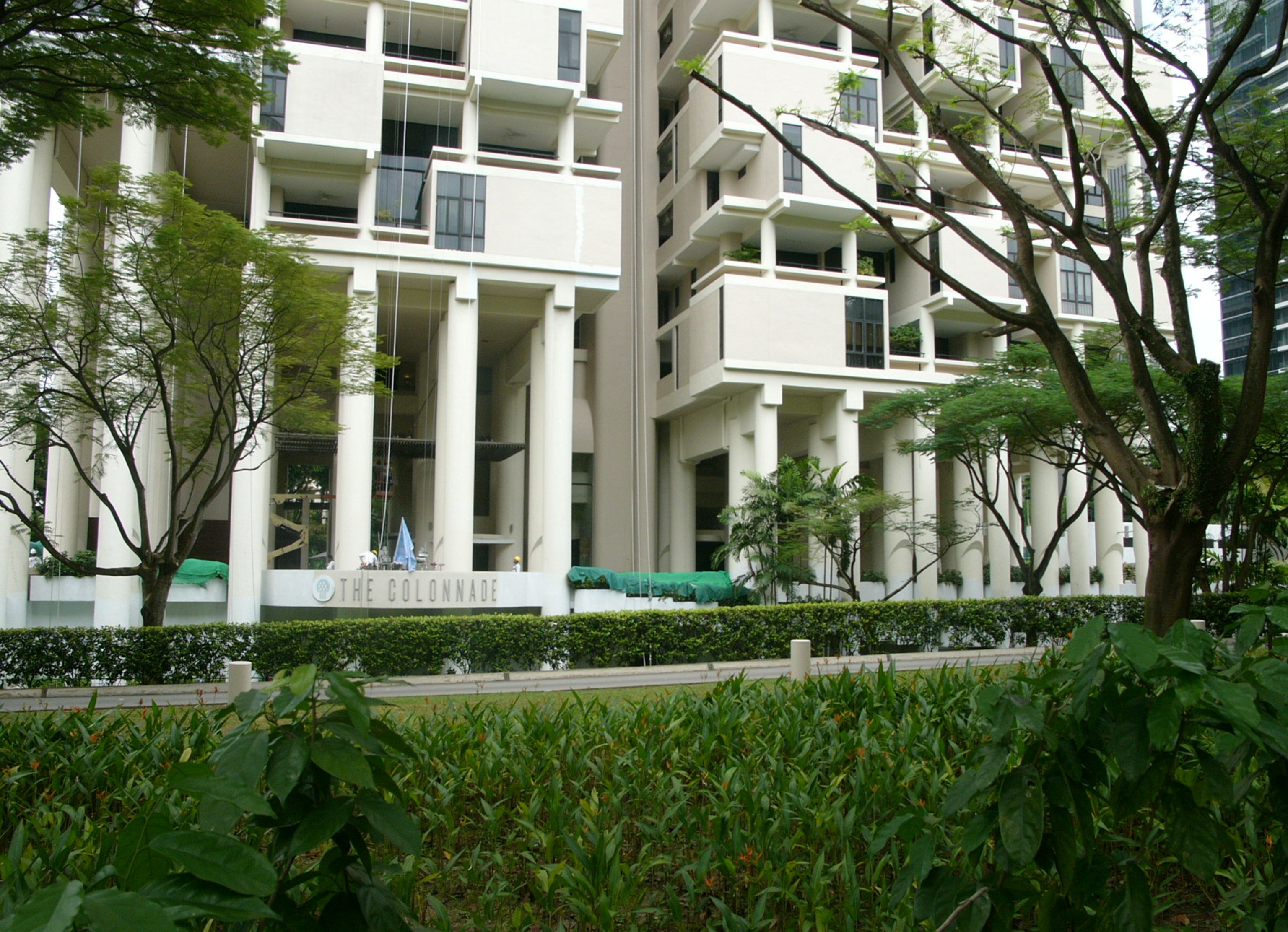 image-4ad8f99b1d2869c78534aa037551d0d5394d2947-1600x1200-jpg