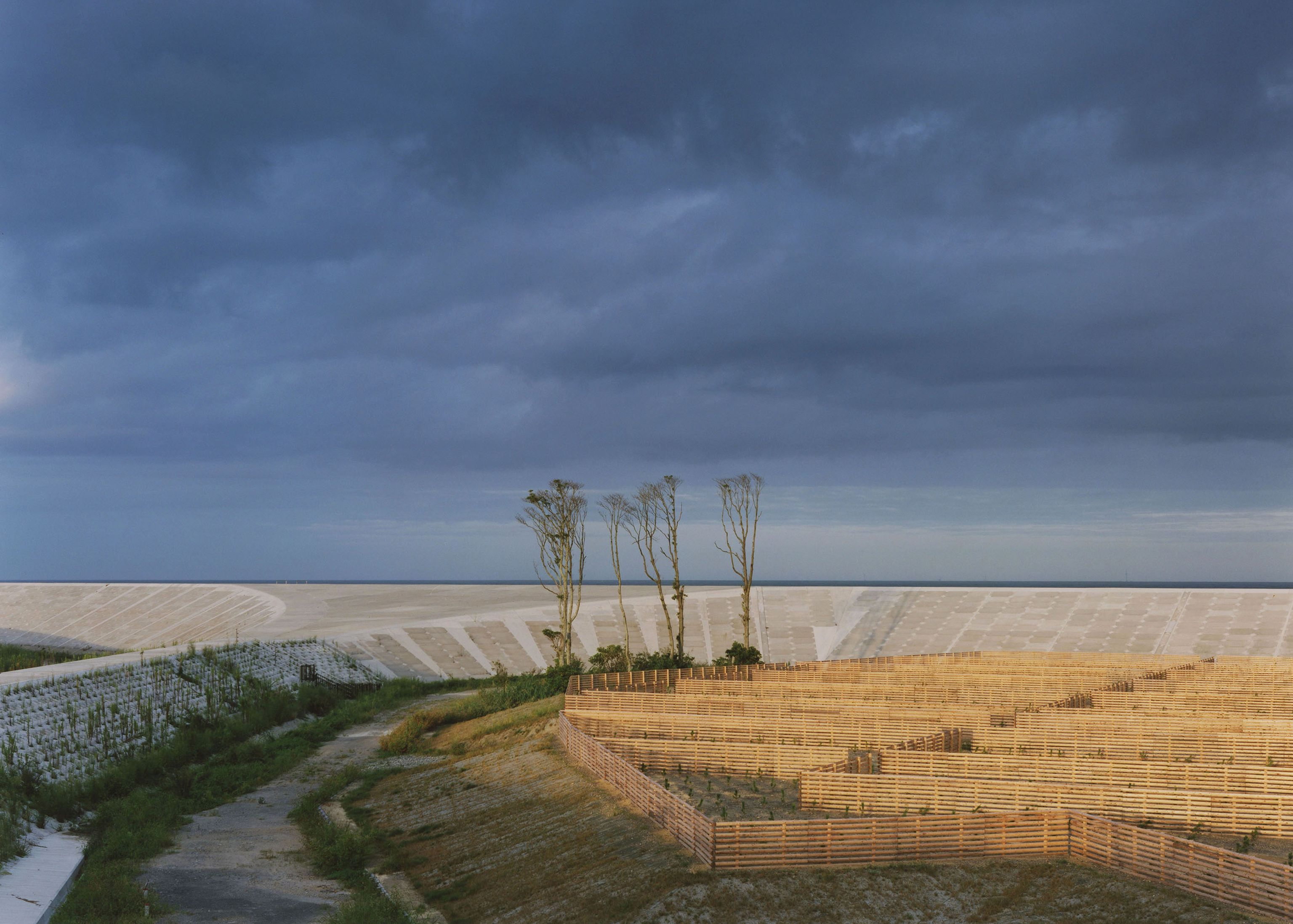 image-4cf42de3d1064484a7449fd8a5e9efc93a834a7a-2756x2352-jpg