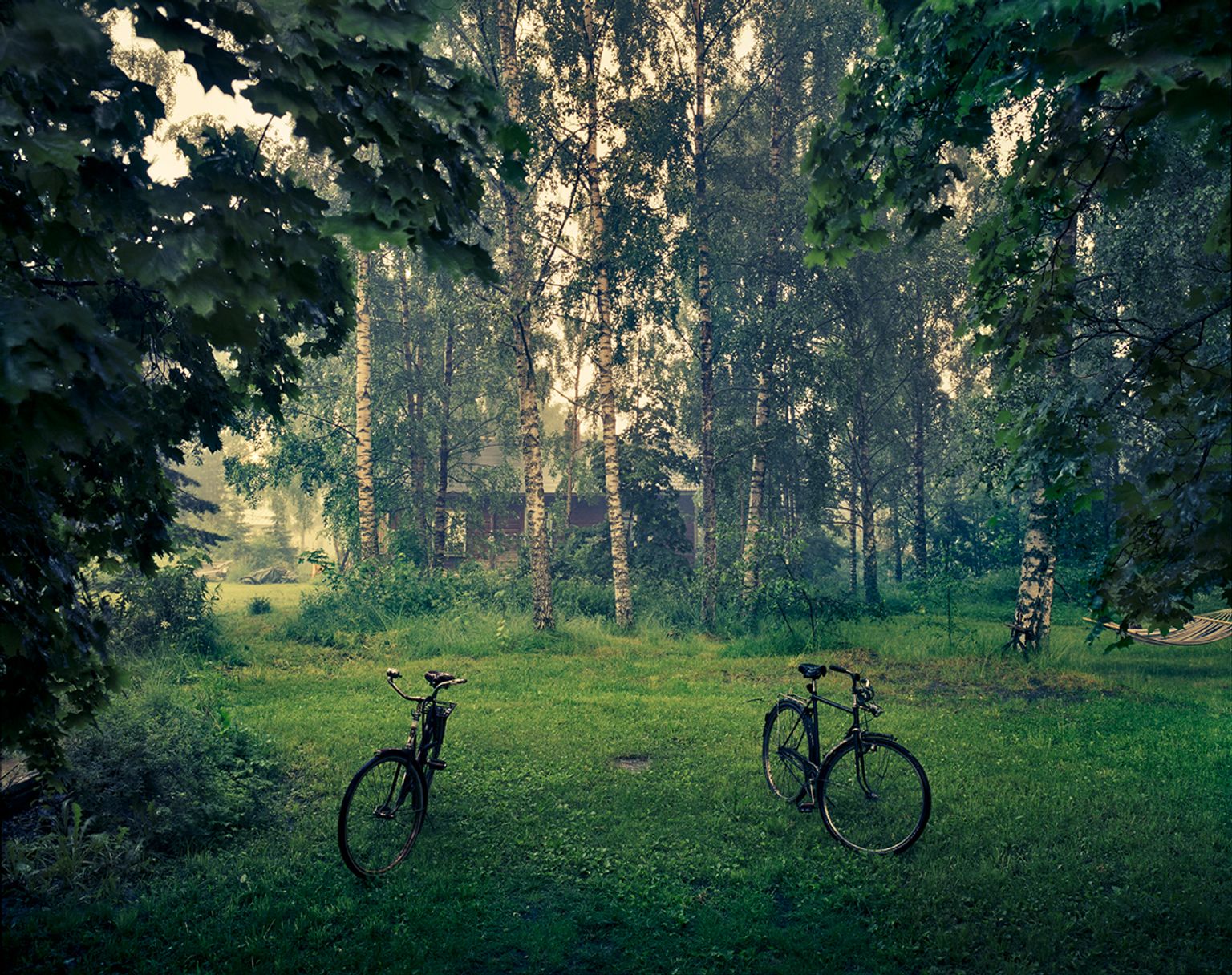 image-4edd0c4f51f397c437e945b155bd9810f82af82f-1181x935-jpg