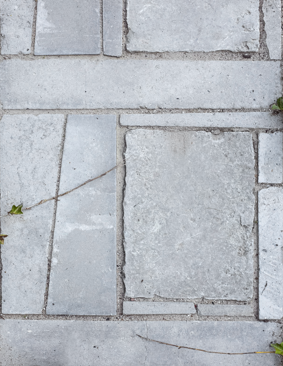 image-4f033875de567f2efc4a1a5e83bcee4a0865b38f-1203x1558-png