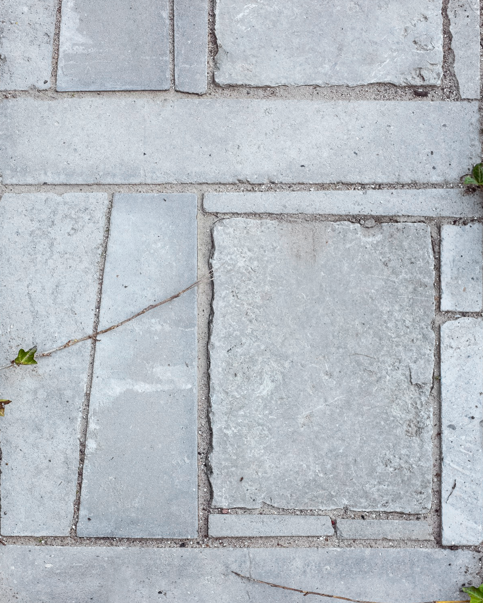 image-4f033875de567f2efc4a1a5e83bcee4a0865b38f-1203x1558-png