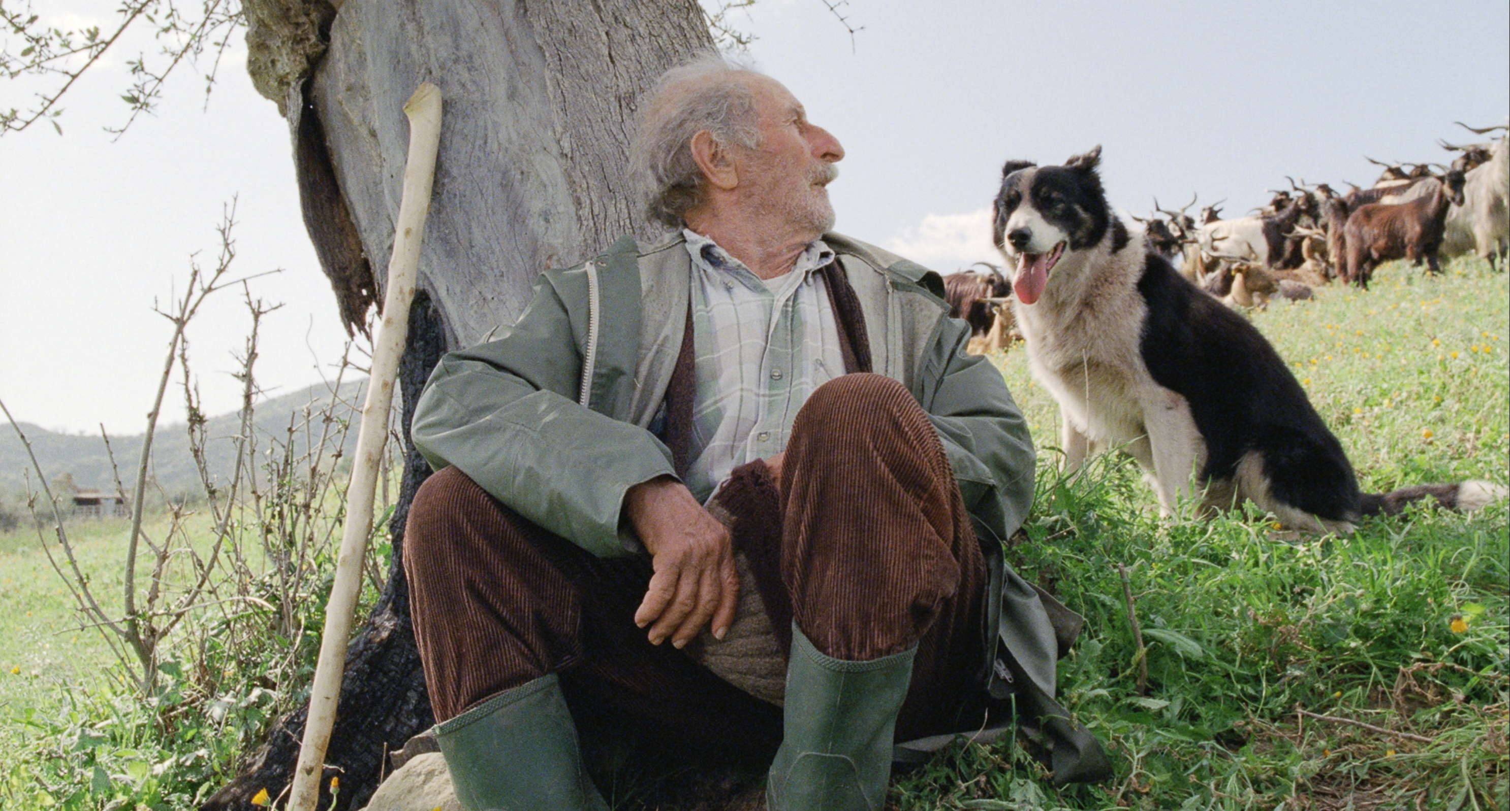 image-54f359c1ff26854fae30e43ba2173c056929457c-2972x1598-png