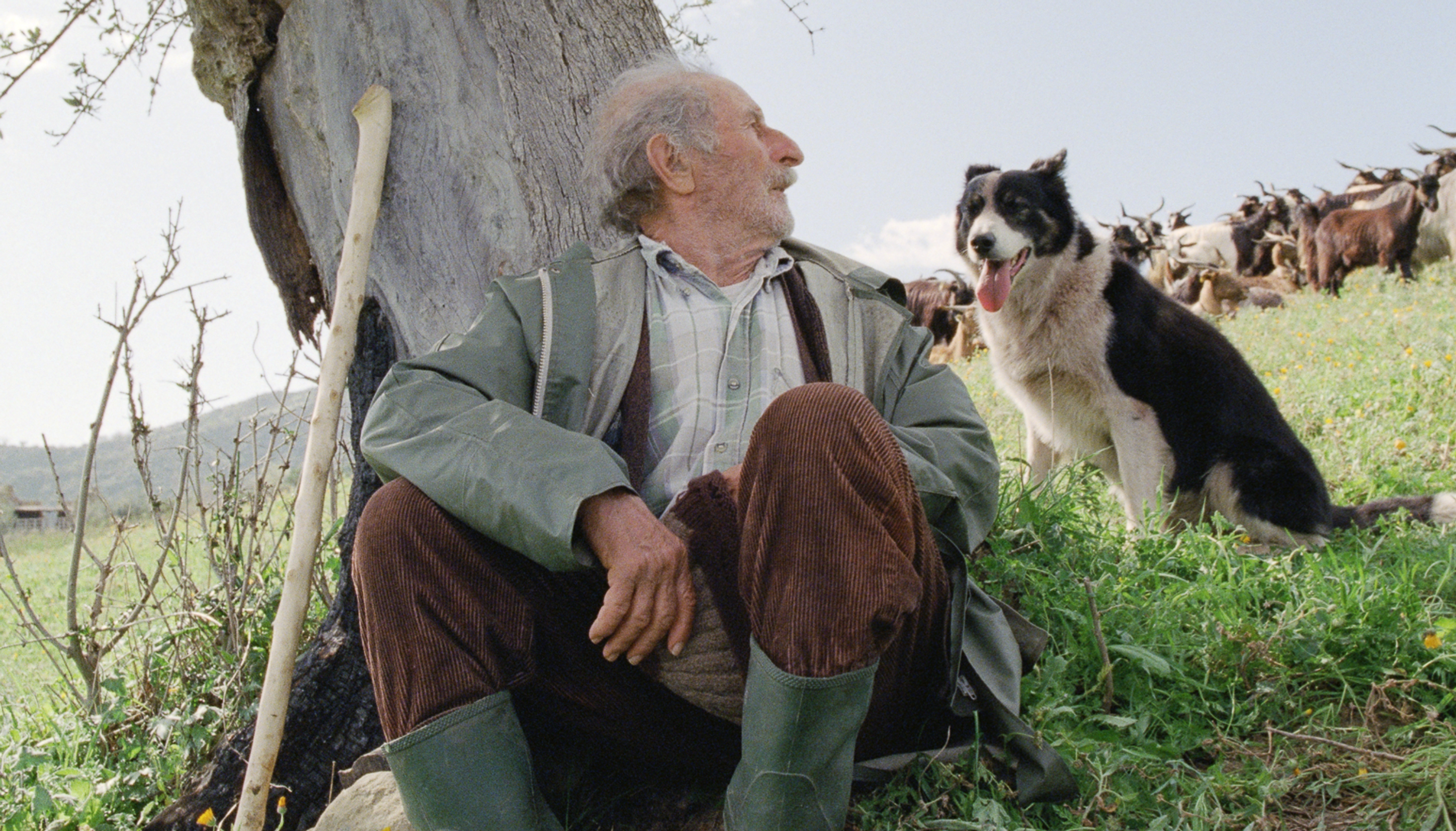 image-54f359c1ff26854fae30e43ba2173c056929457c-2972x1598-png