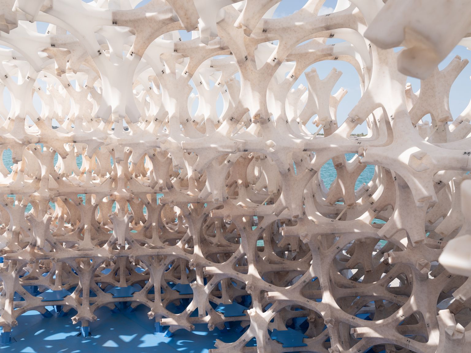 image-55dcdcdb7d10bb3256e1752ce0948e8d7ff78bd5-2000x1500-jpg