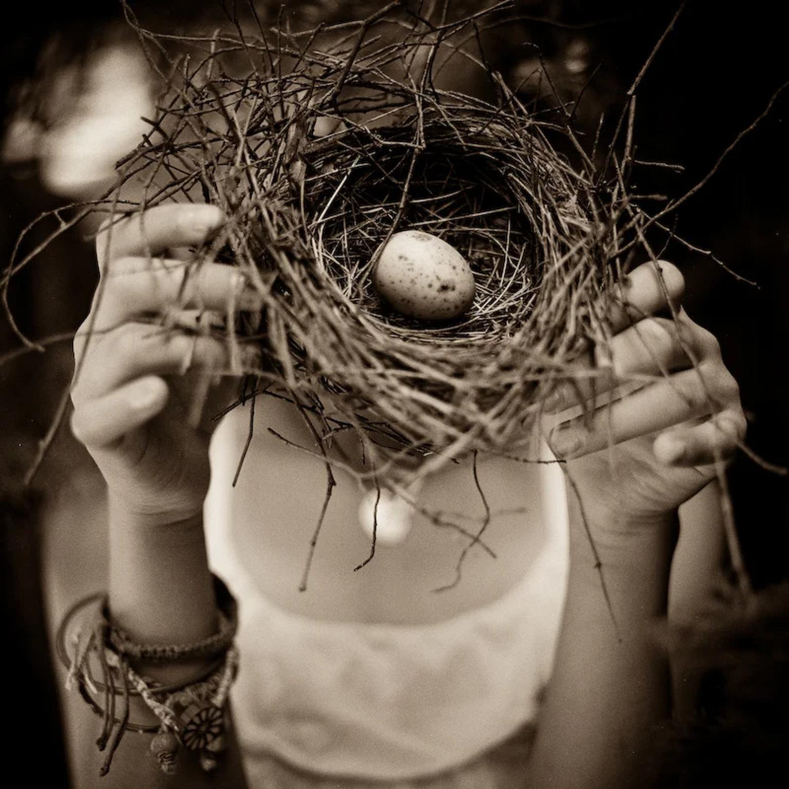 image-5732c0774d21c94999d3dfc8264cf396796c012a-800x800-webp